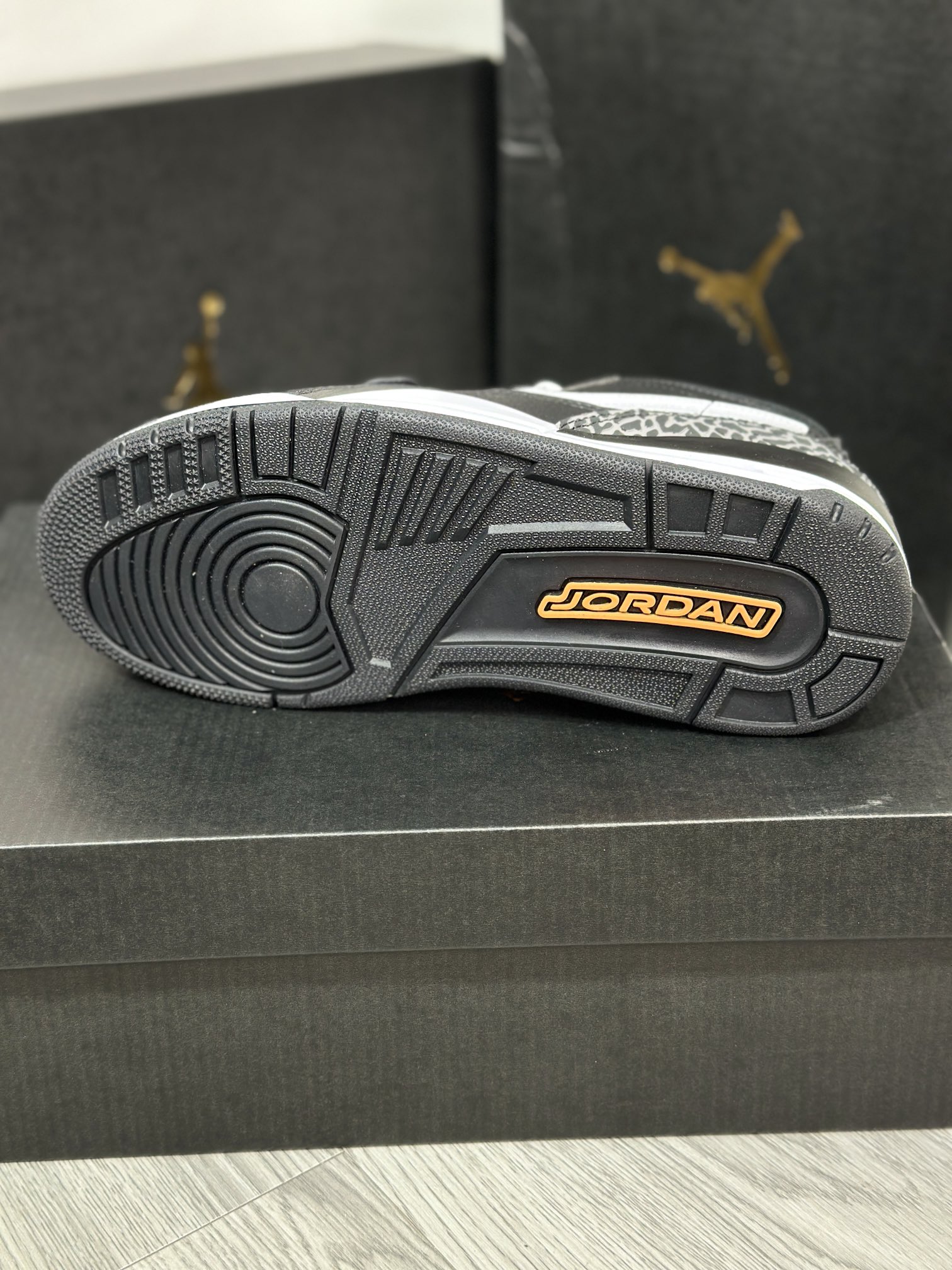 Jordan Nike Basic Shoes L