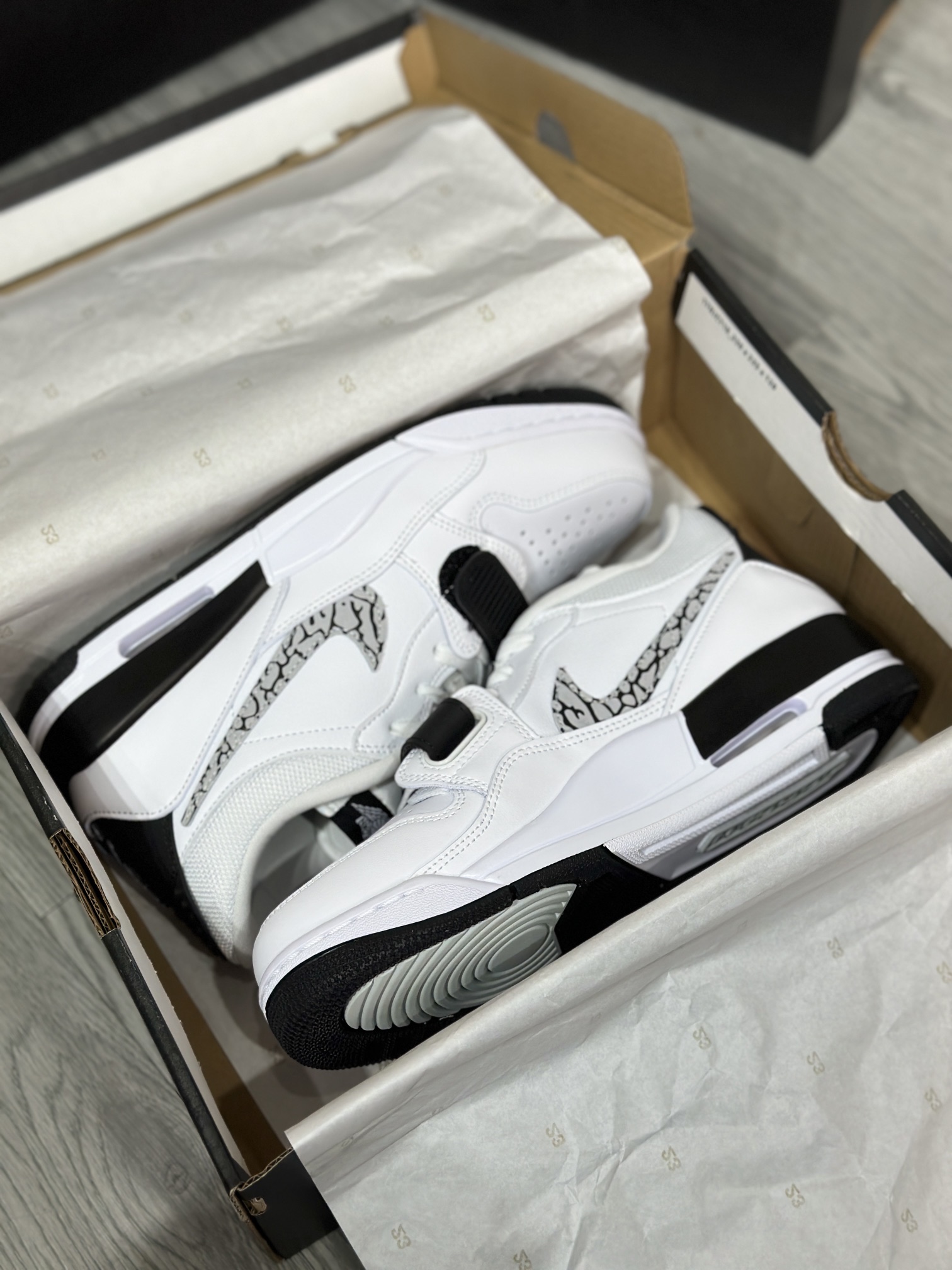 Jordan Nike Basic Shoes L