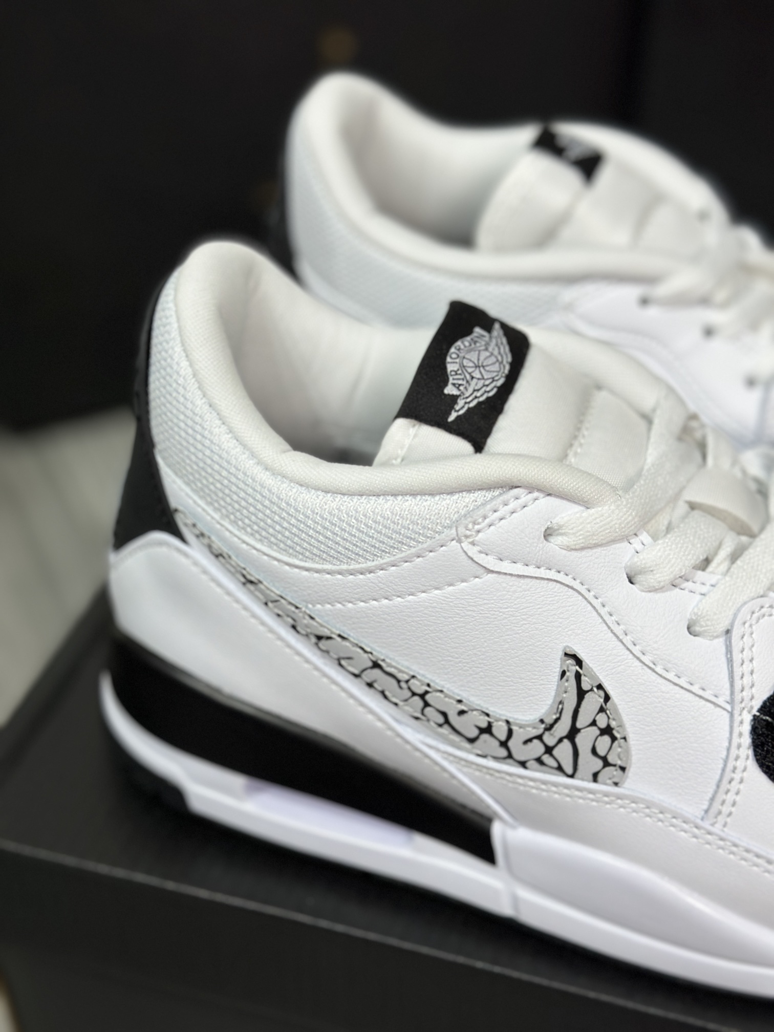 Jordan Nike Basic Shoes L