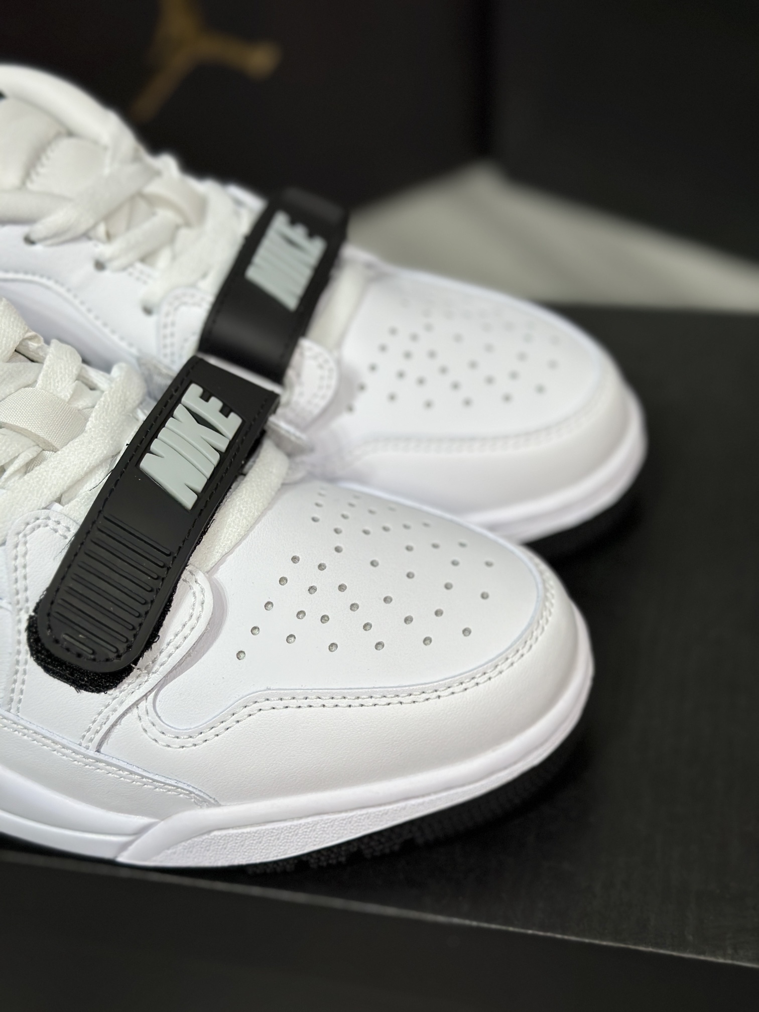 Jordan Nike Basic Shoes L