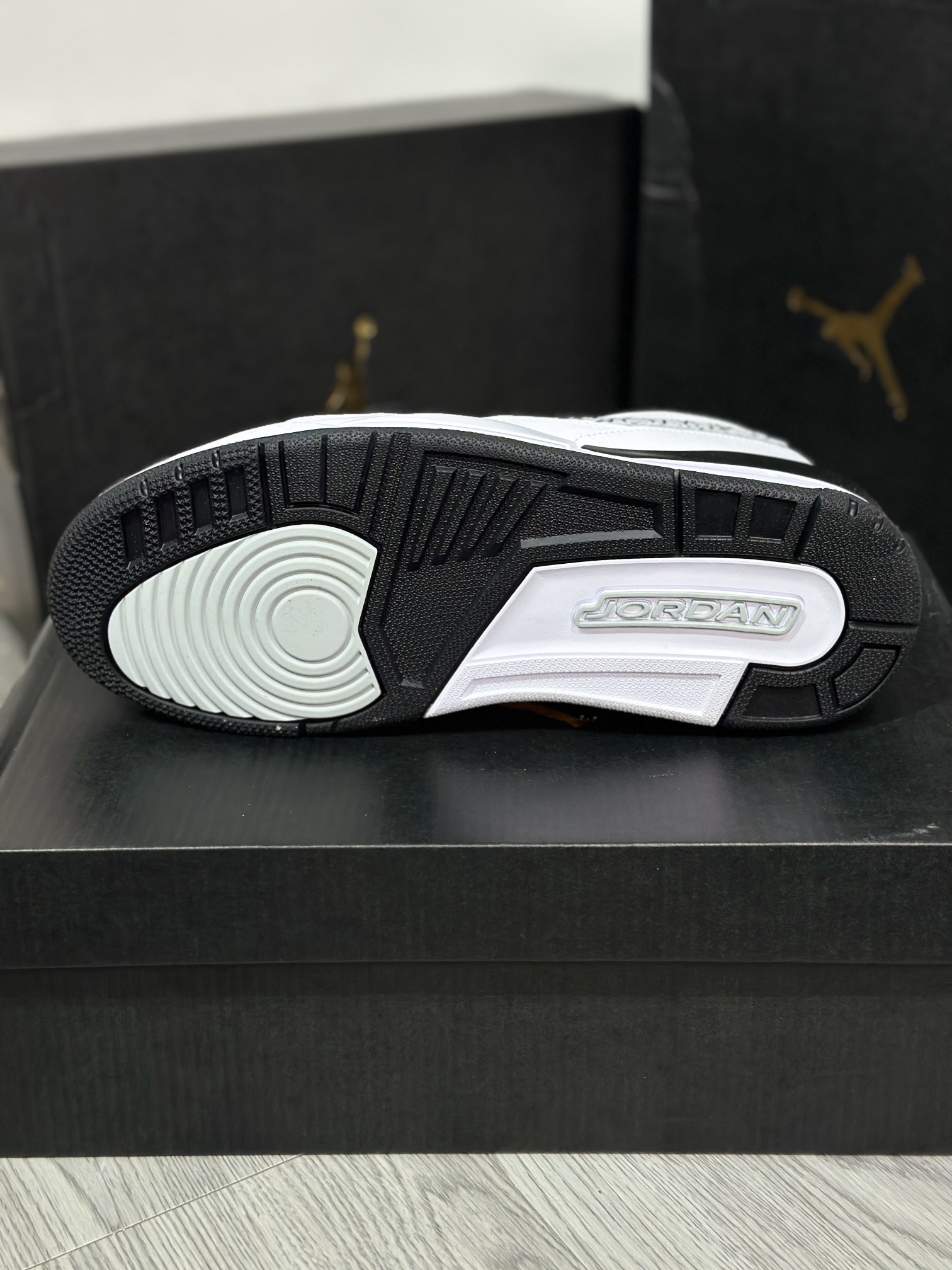 Jordan Nike Basic Shoes L