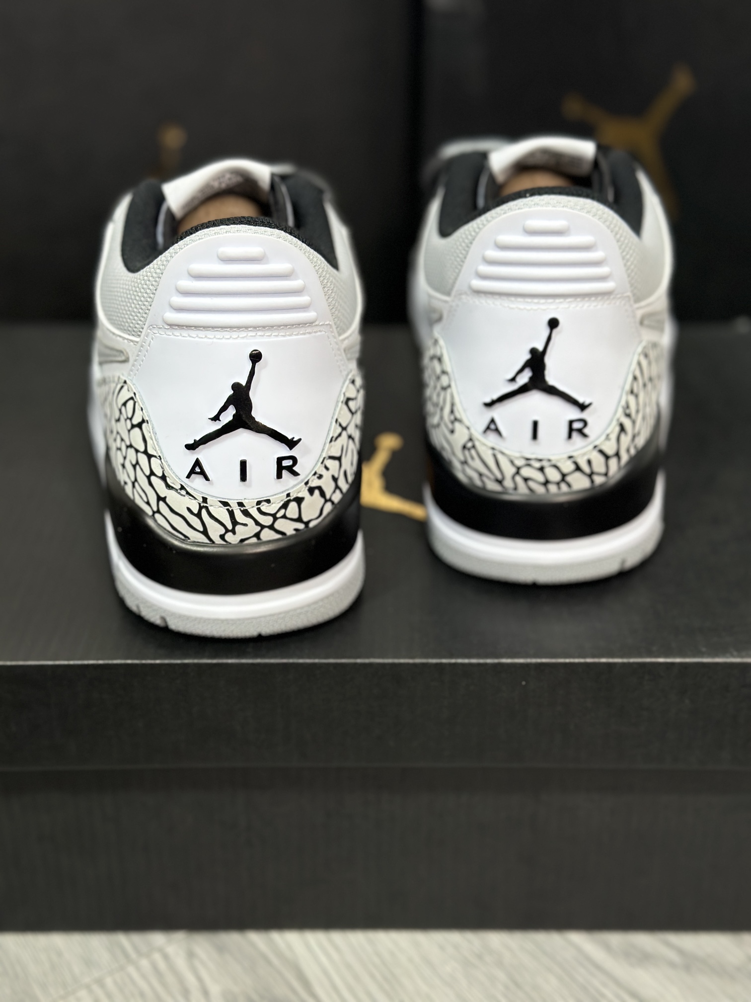 Jordan Nike Basic Shoes L