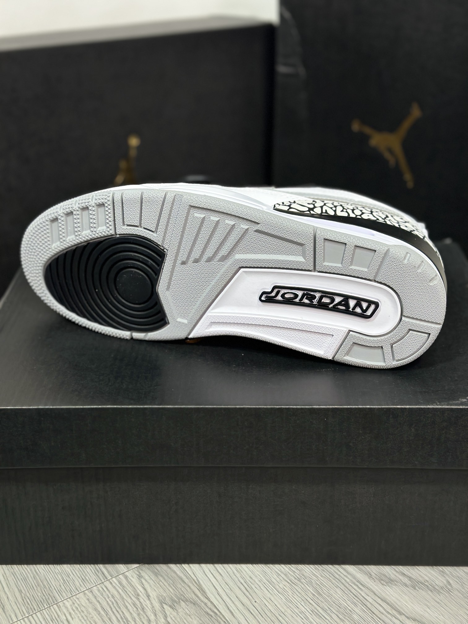 Jordan Nike Basic Shoes L