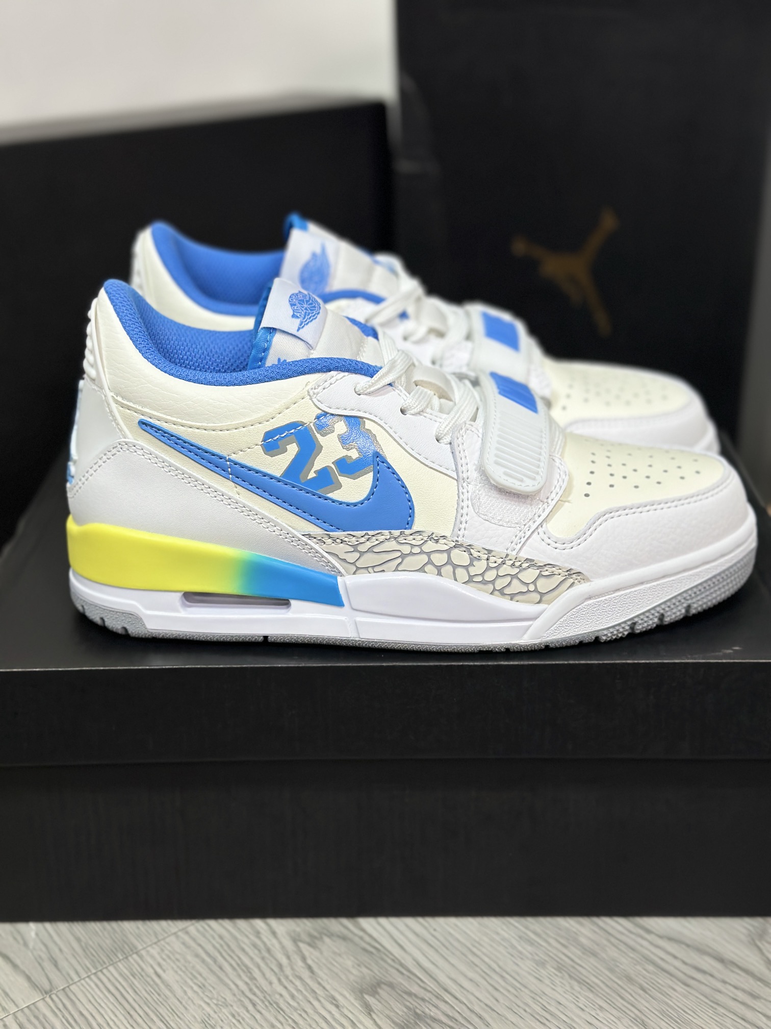 Jordan Nike Basic Shoes L