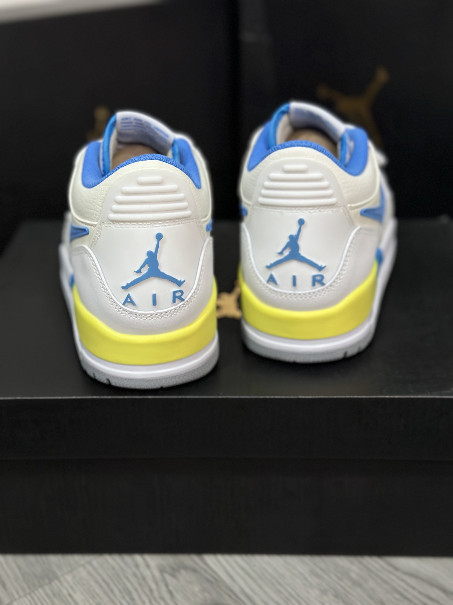 Jordan Nike Basic Shoes L