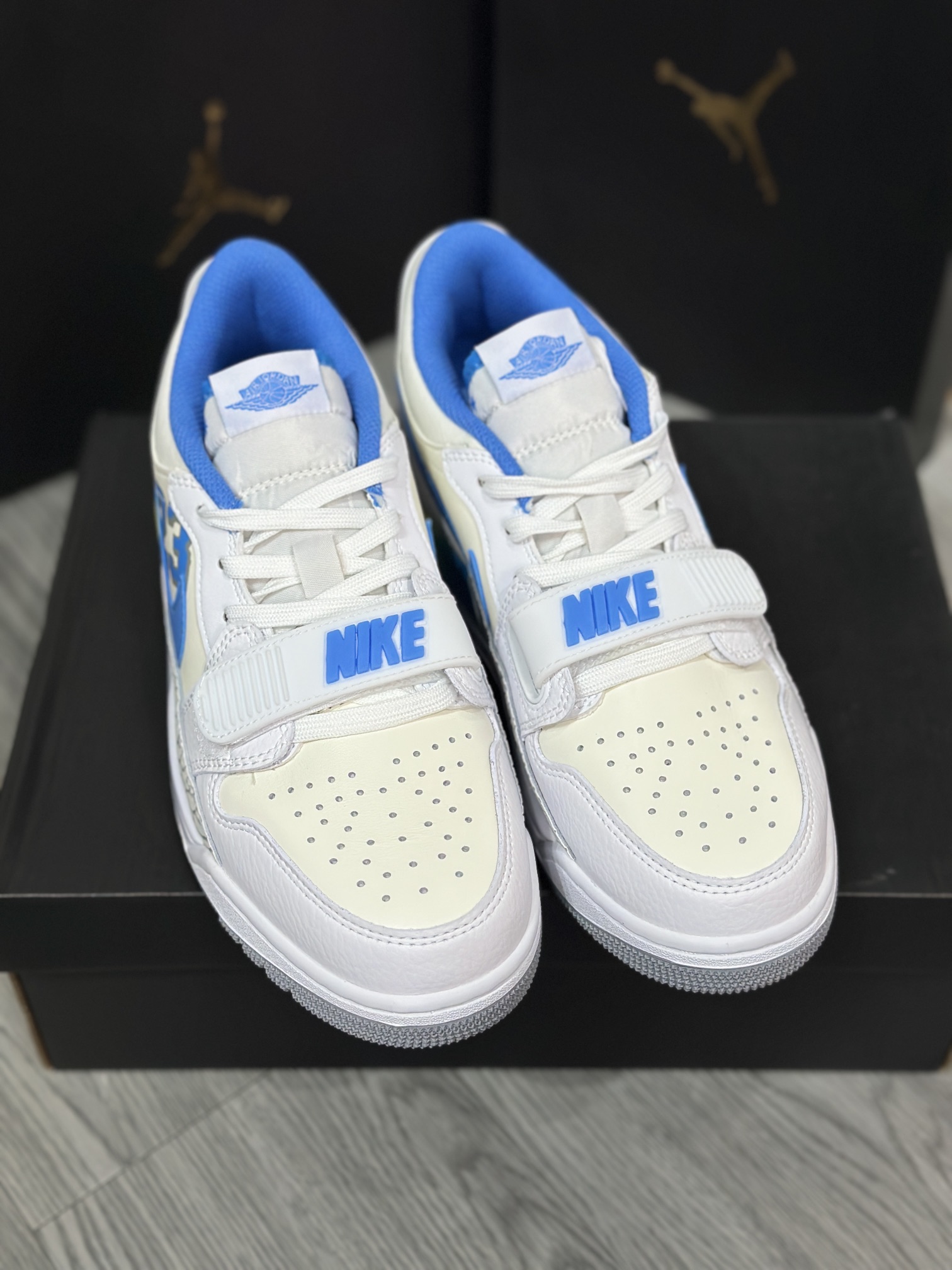 Jordan Nike Basic Shoes L