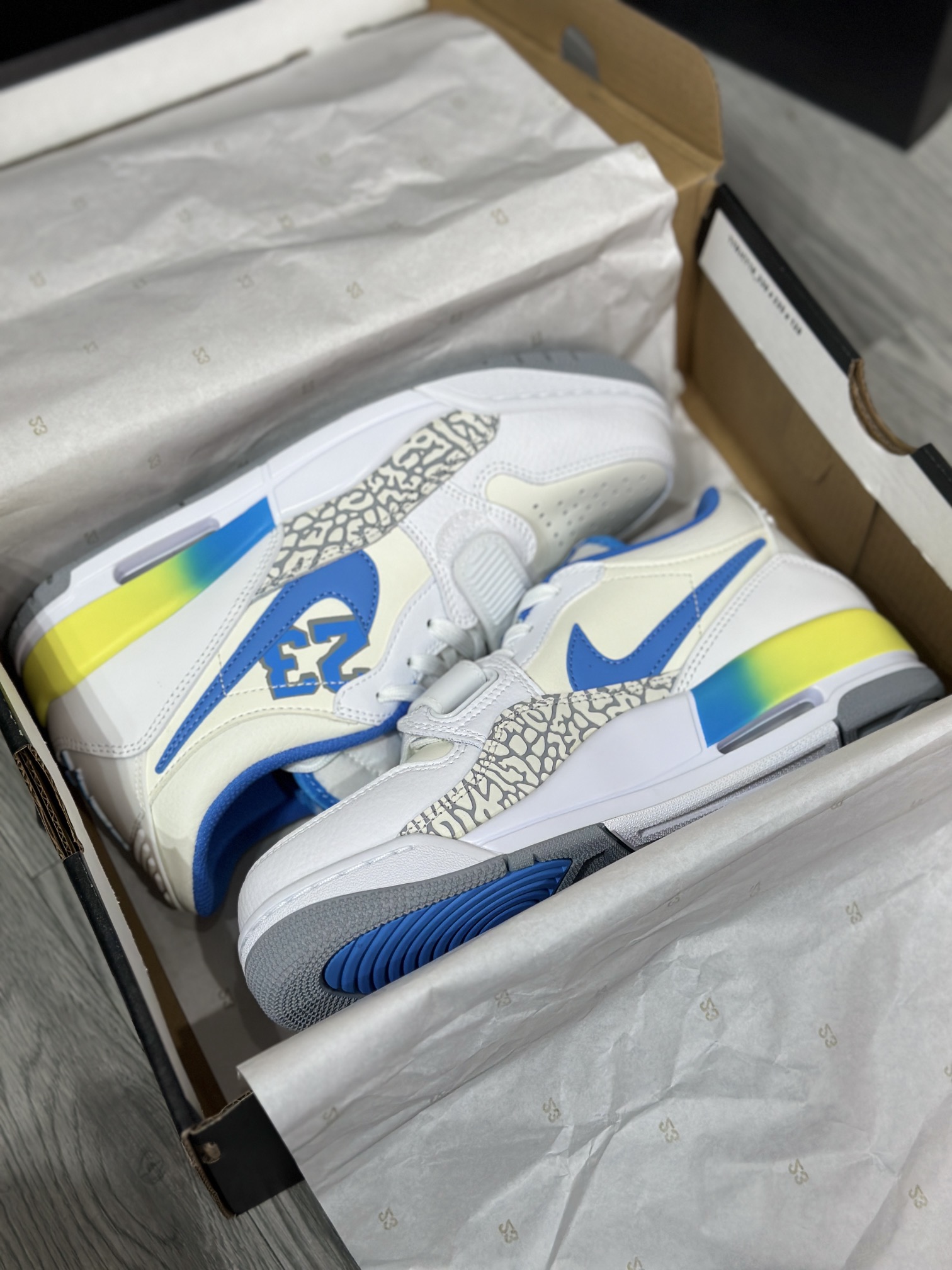 Jordan Nike Basic Shoes L