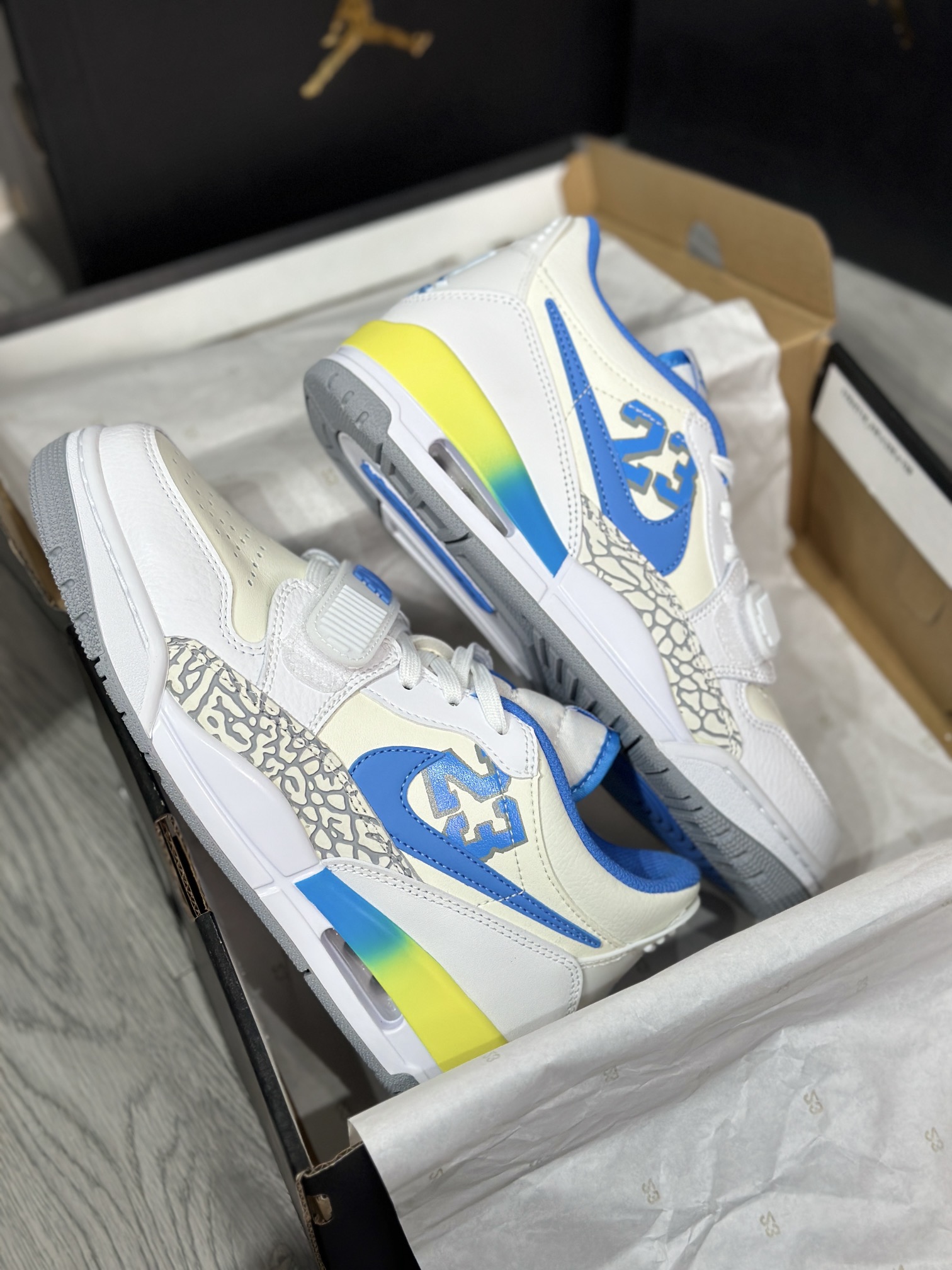 Jordan Nike Basic Shoes L