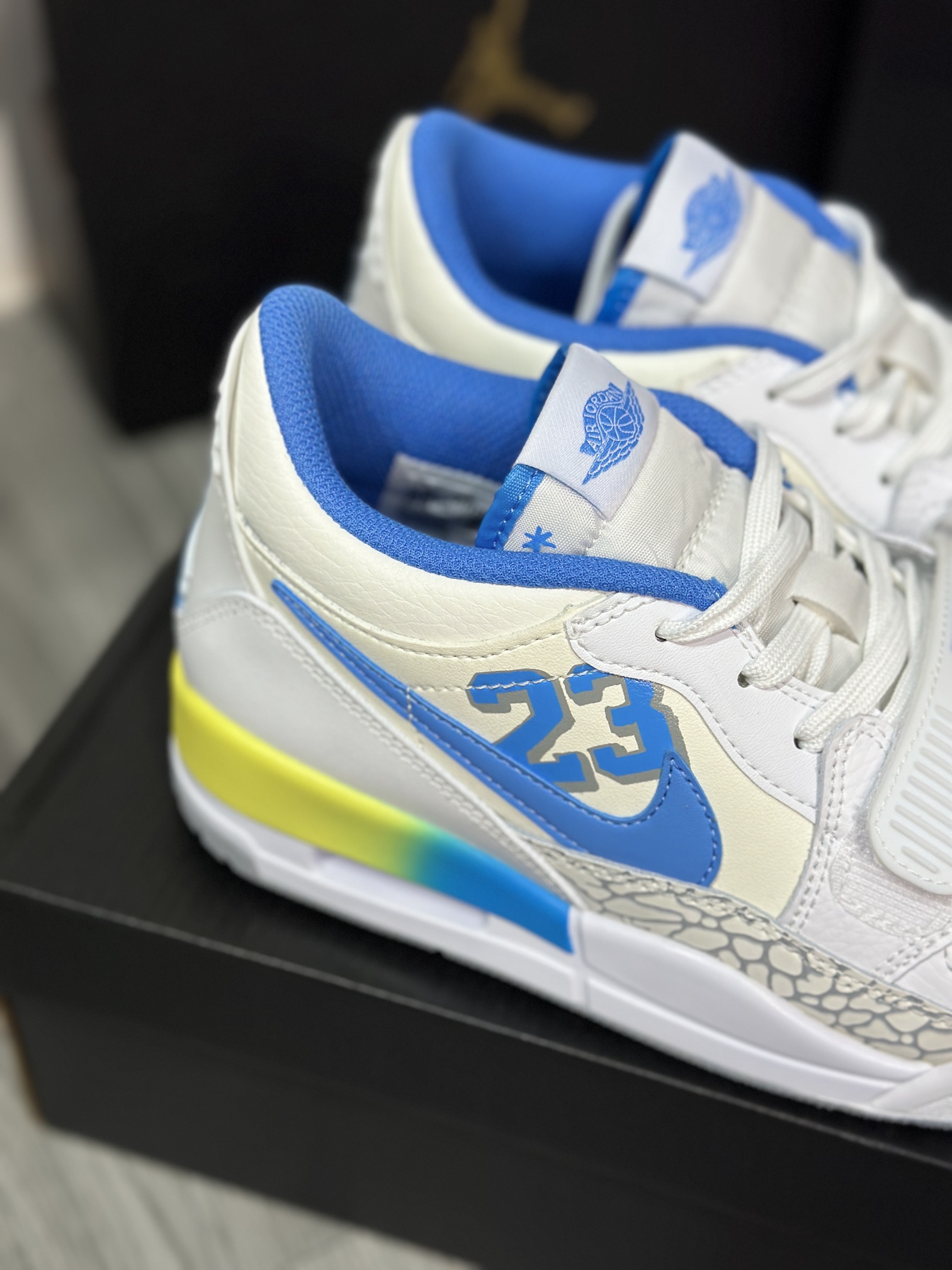 Jordan Nike Basic Shoes L