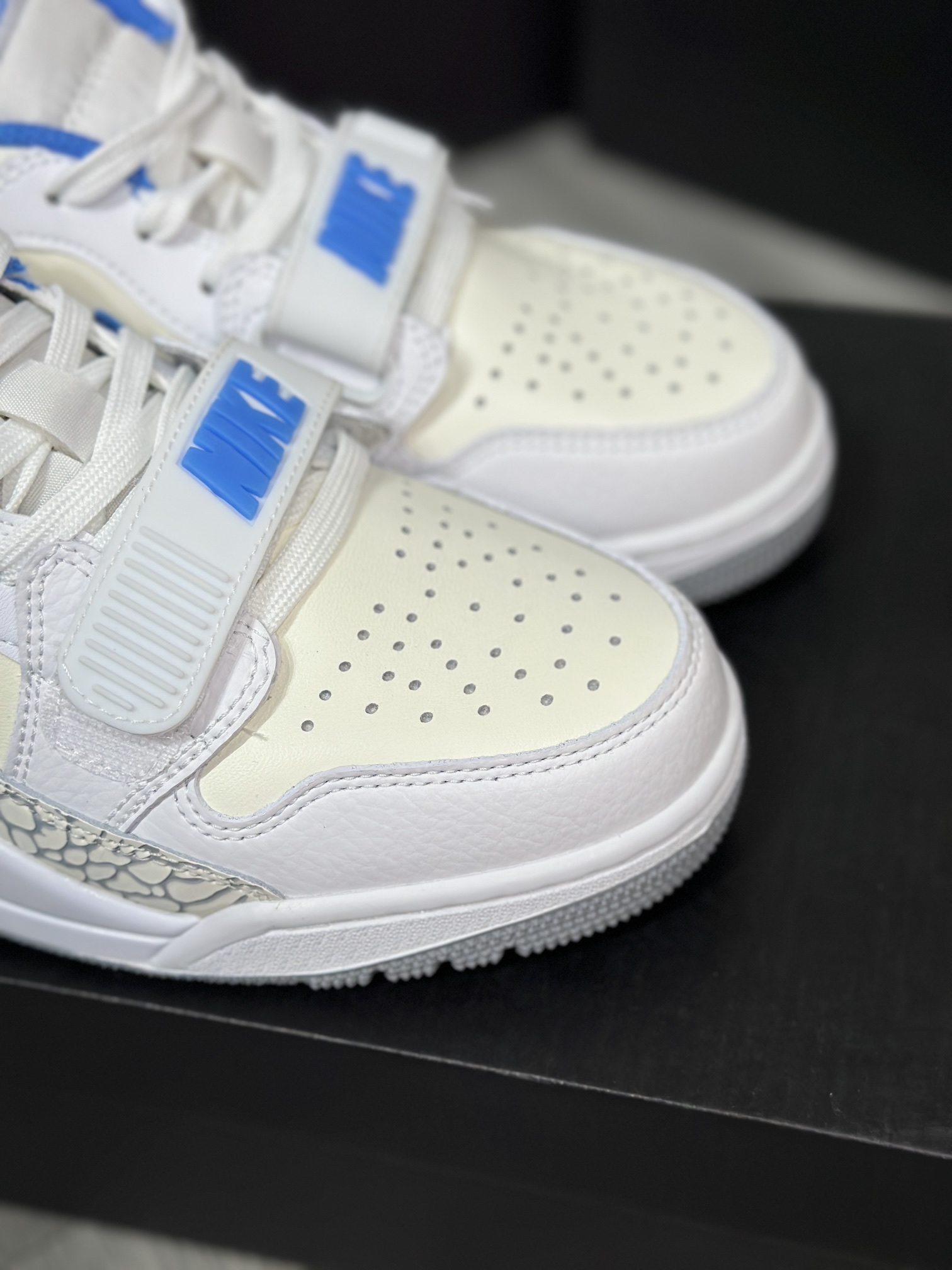 Jordan Nike Basic Shoes L