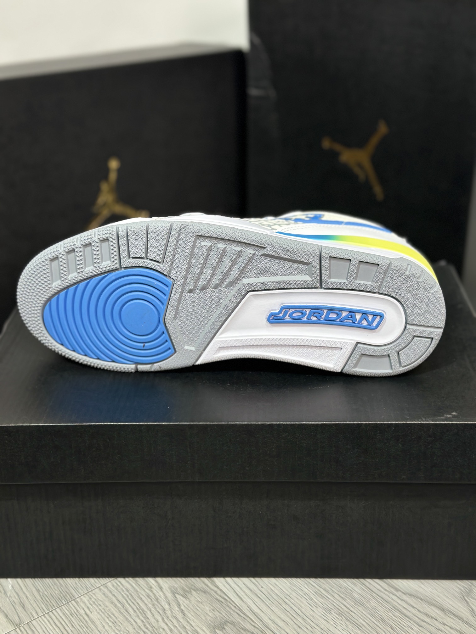 Jordan Nike Basic Shoes L