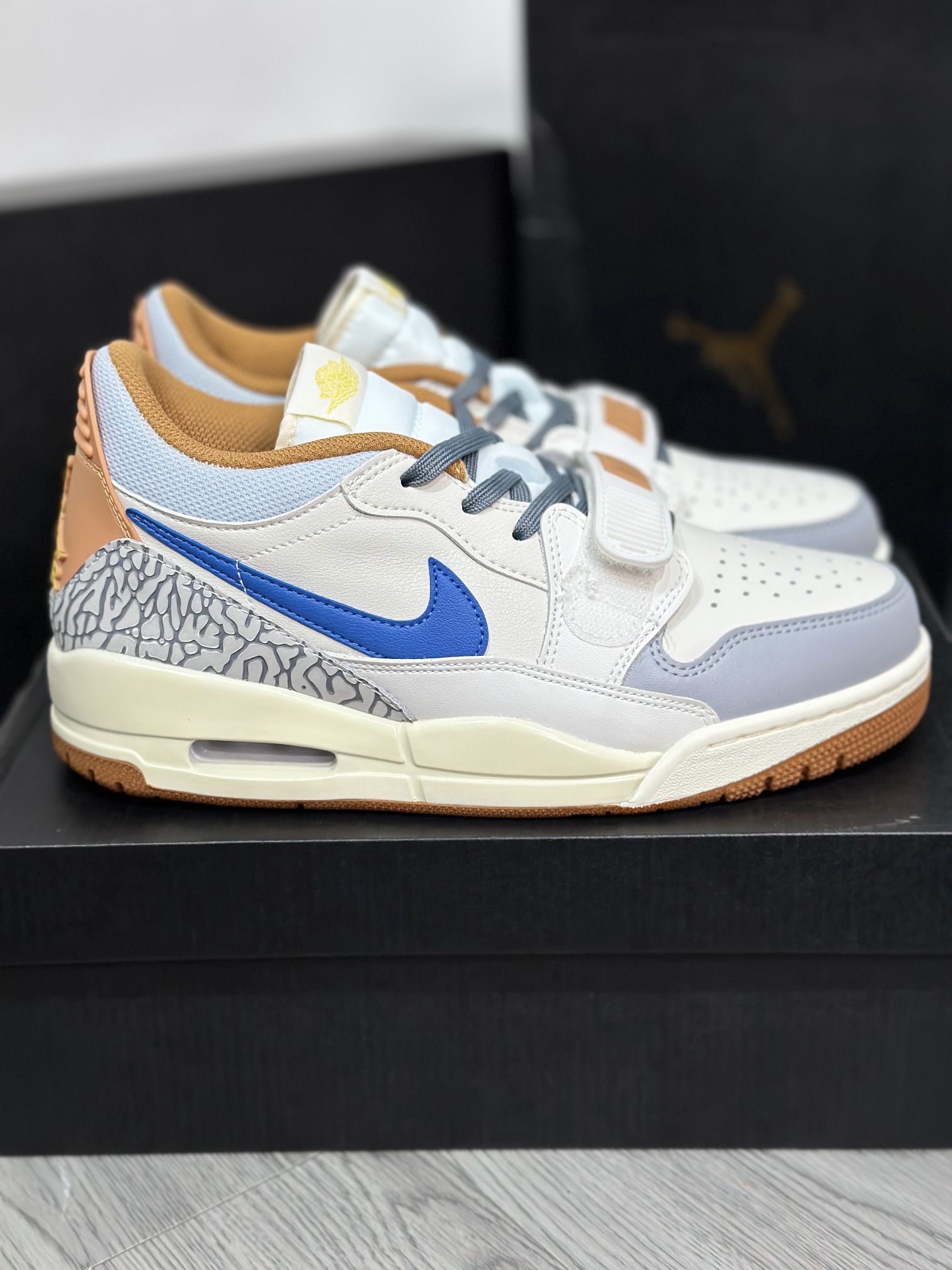 Jordan Nike Basic Shoes L