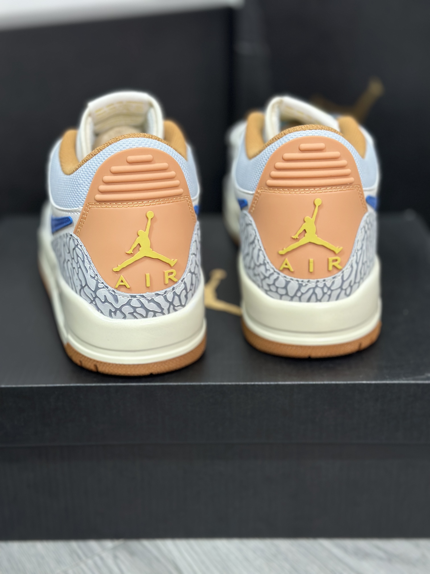 Jordan Nike Basic Shoes L