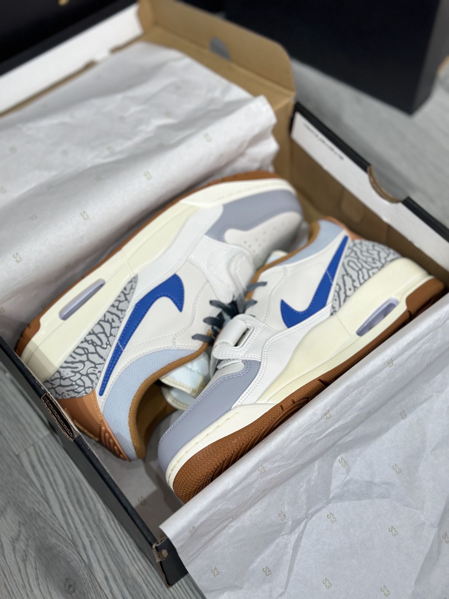 Jordan Nike Basic Shoes L