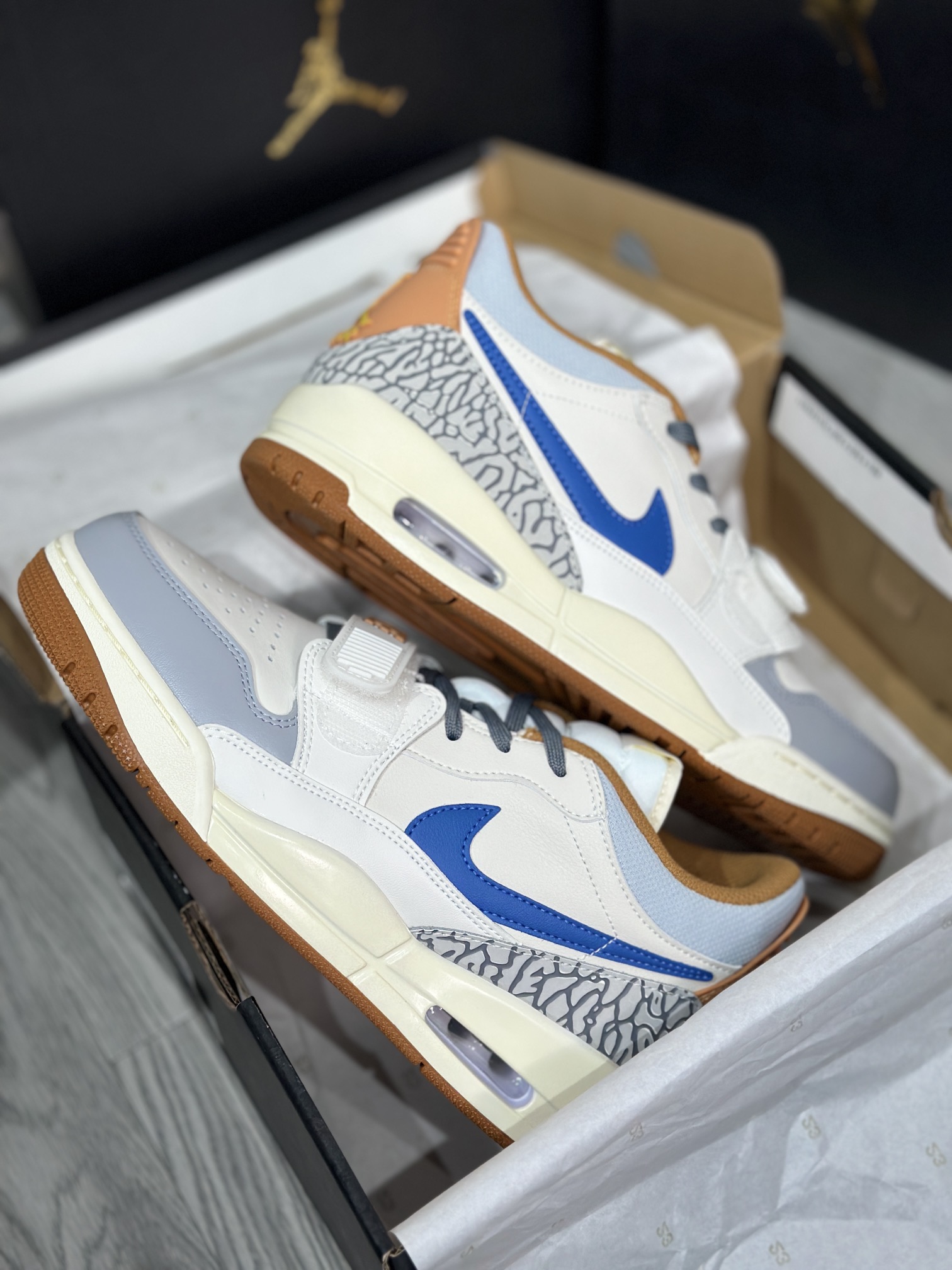 Jordan Nike Basic Shoes L