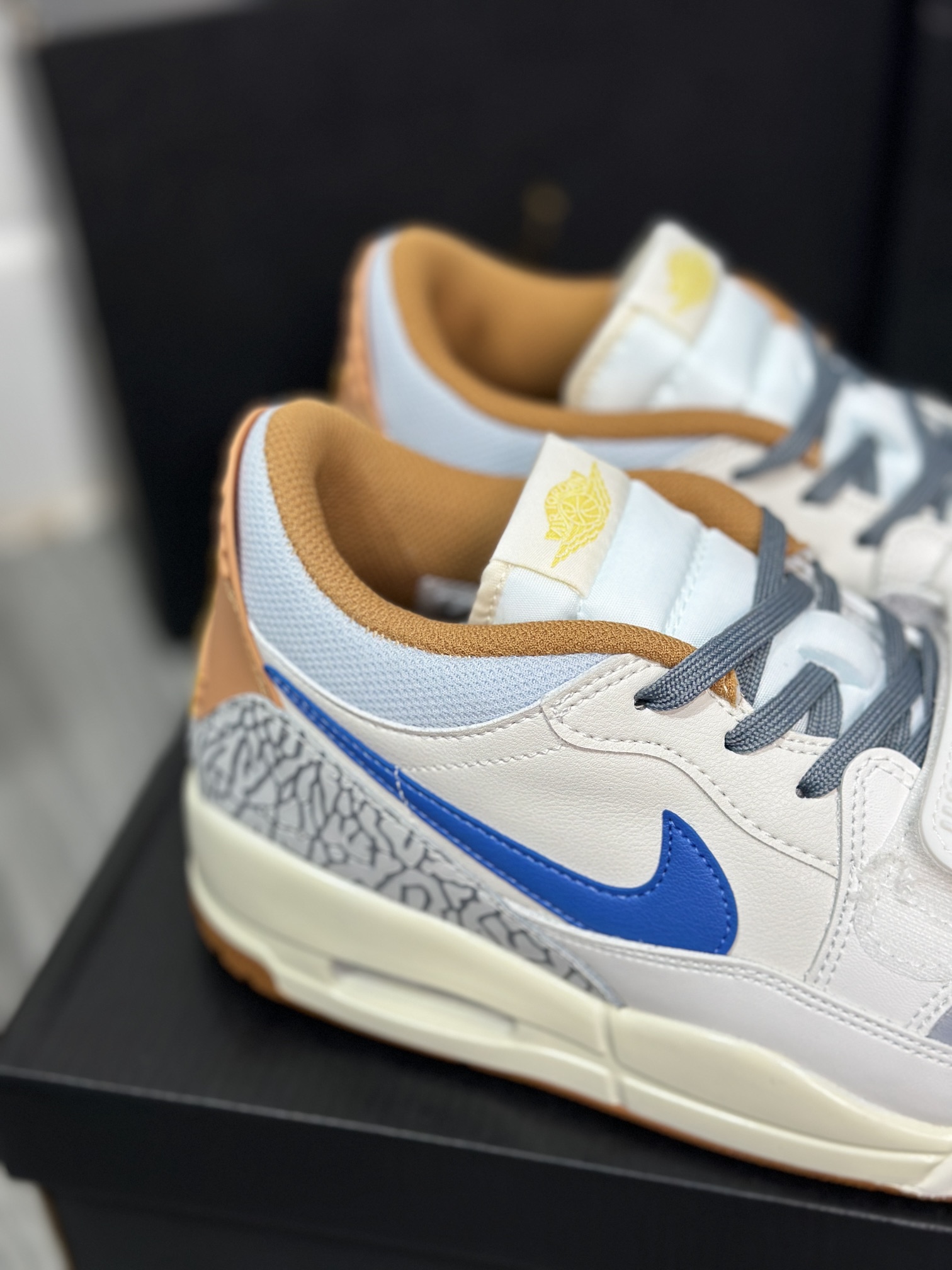 Jordan Nike Basic Shoes L