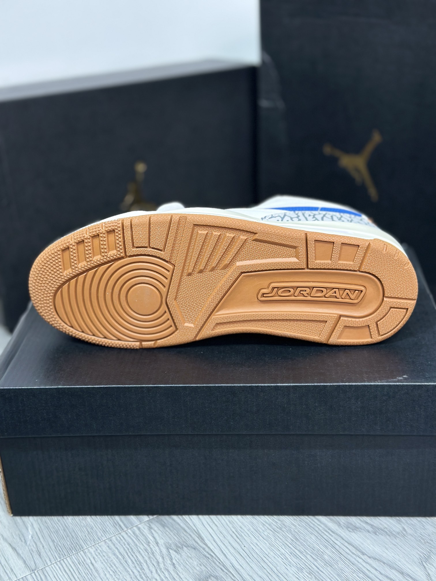 Jordan Nike Basic Shoes L