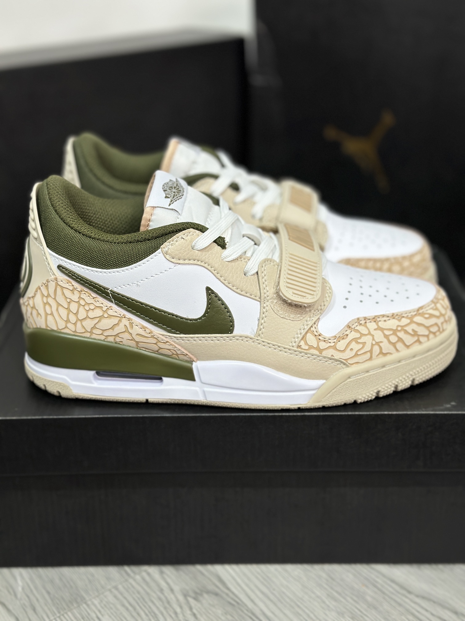 Jordan Nike Basic Shoes L