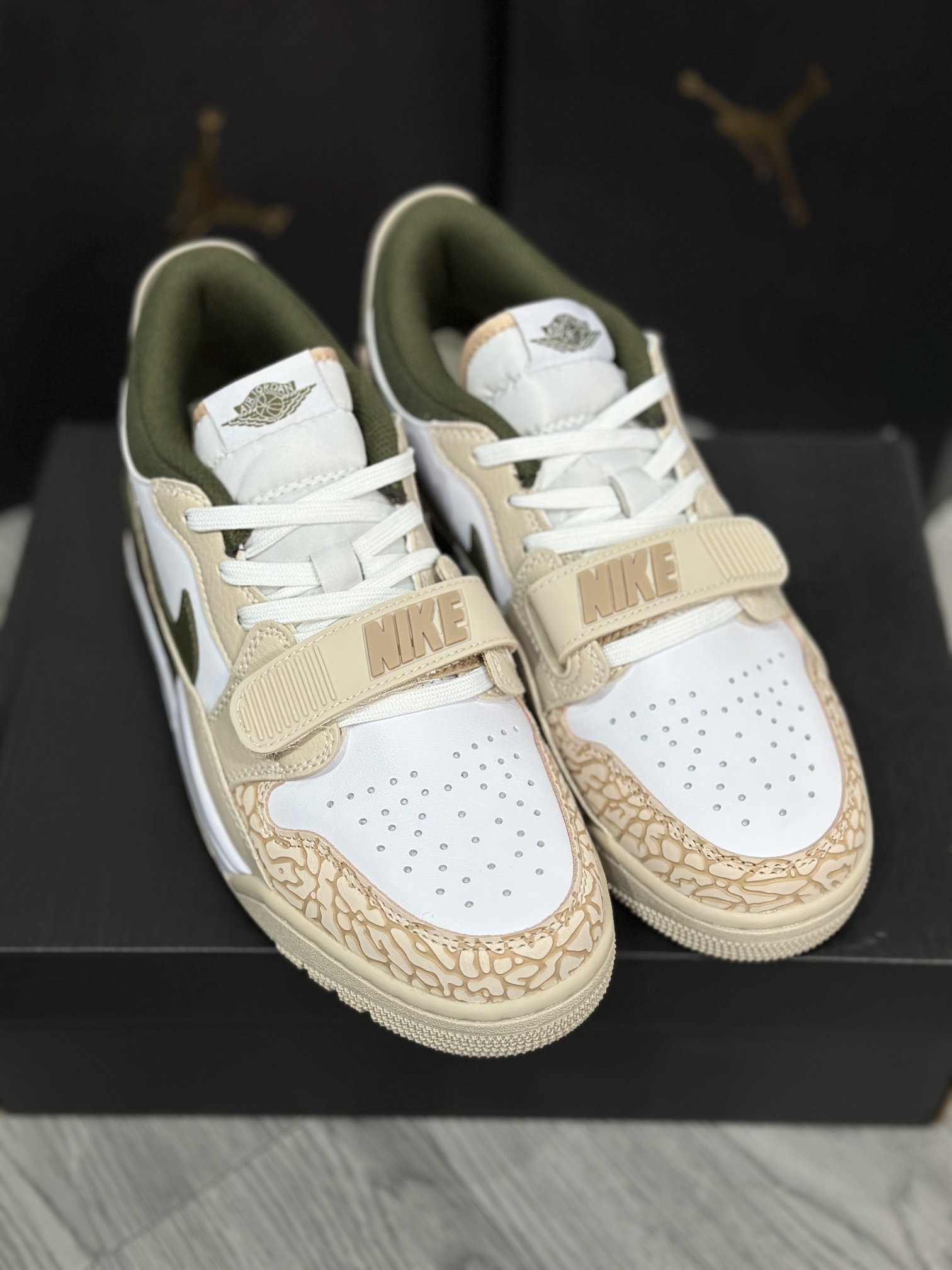 Jordan Nike Basic Shoes L