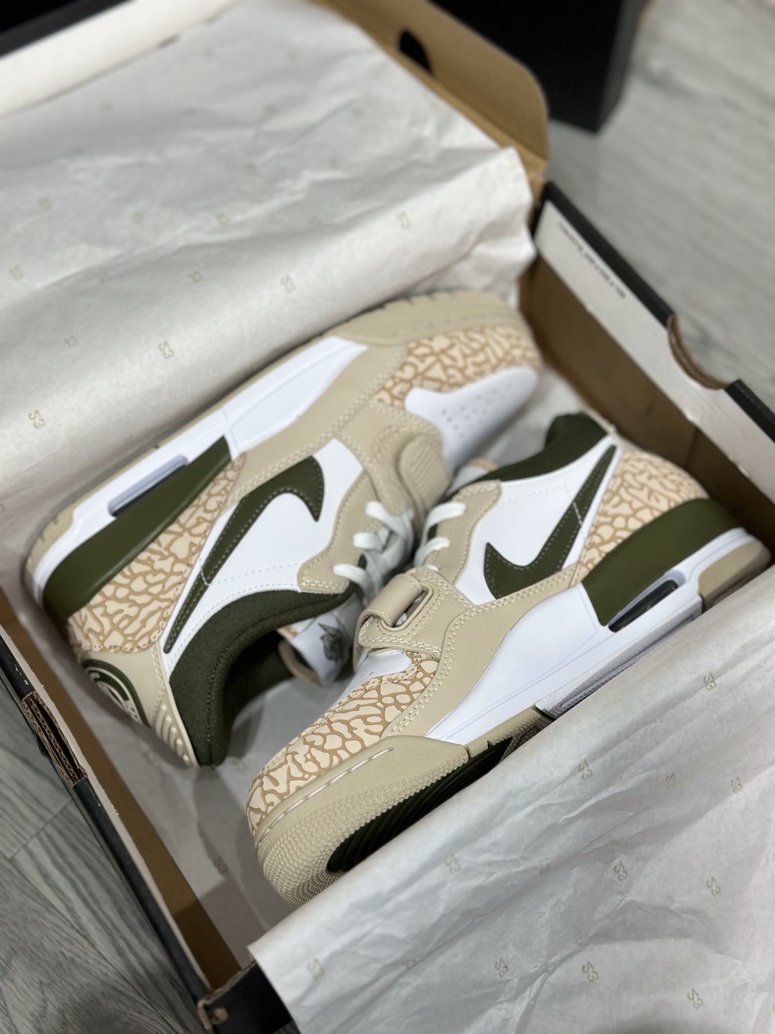 Jordan Nike Basic Shoes L