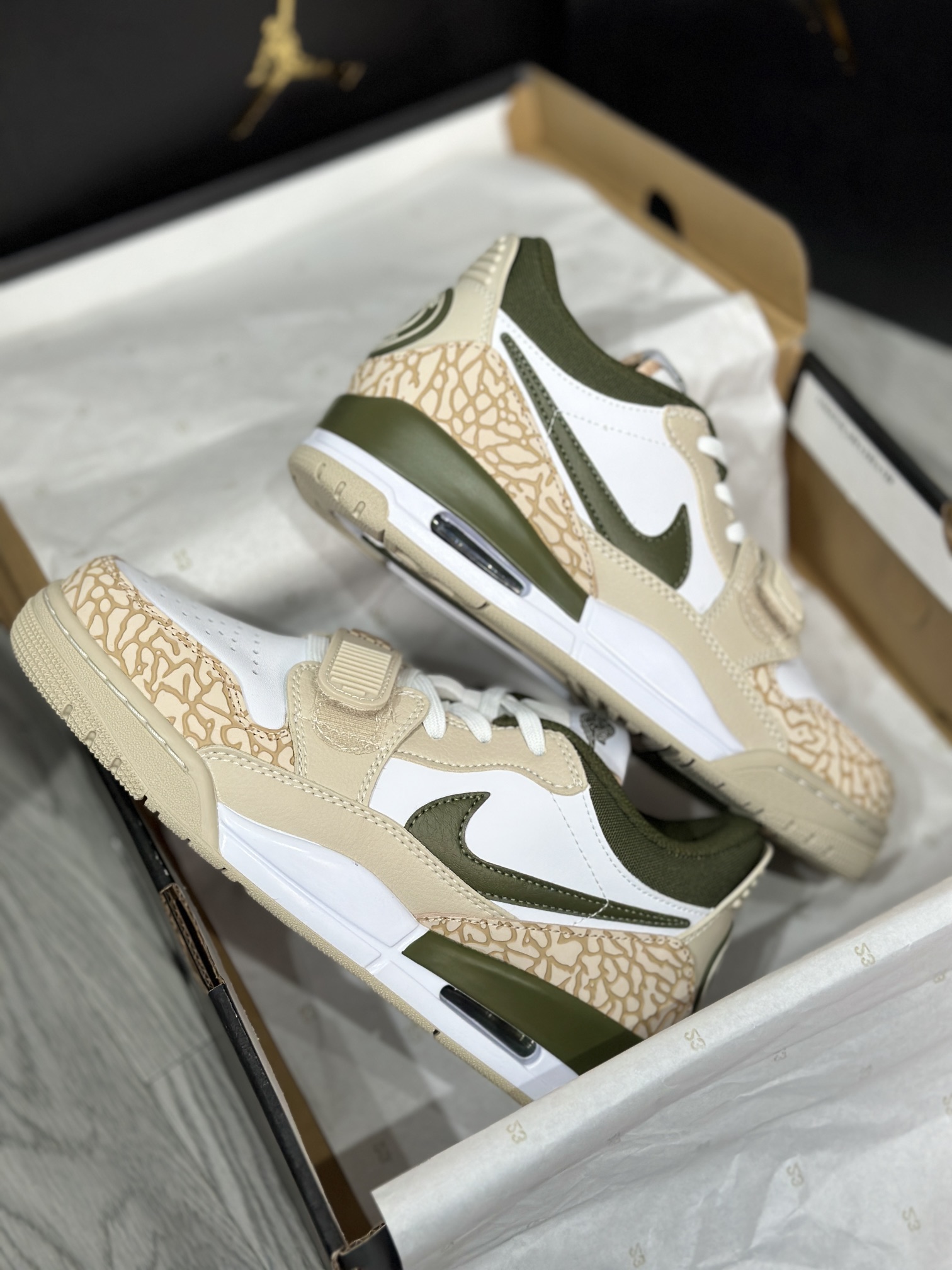 Jordan Nike Basic Shoes L