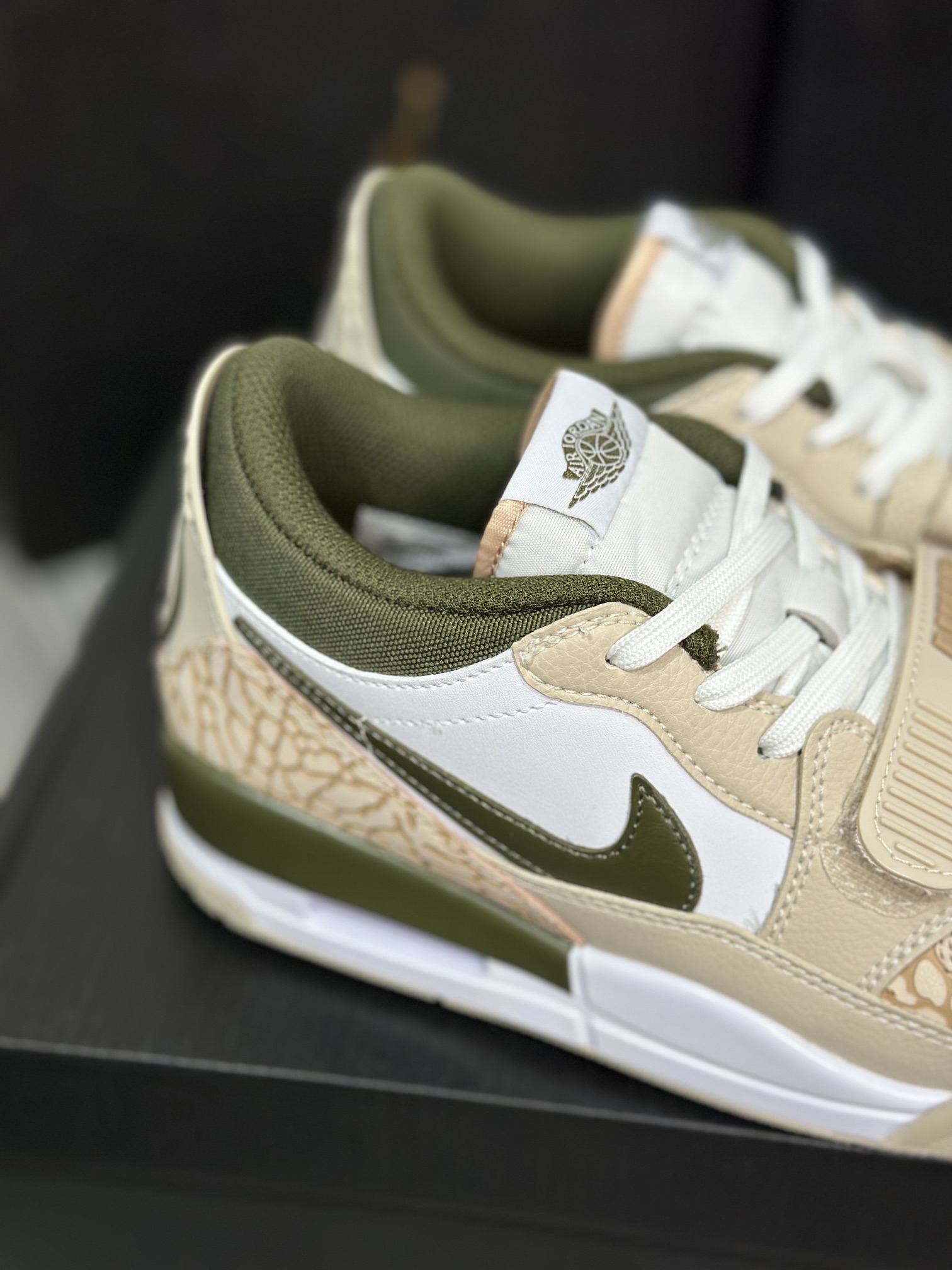 Jordan Nike Basic Shoes L