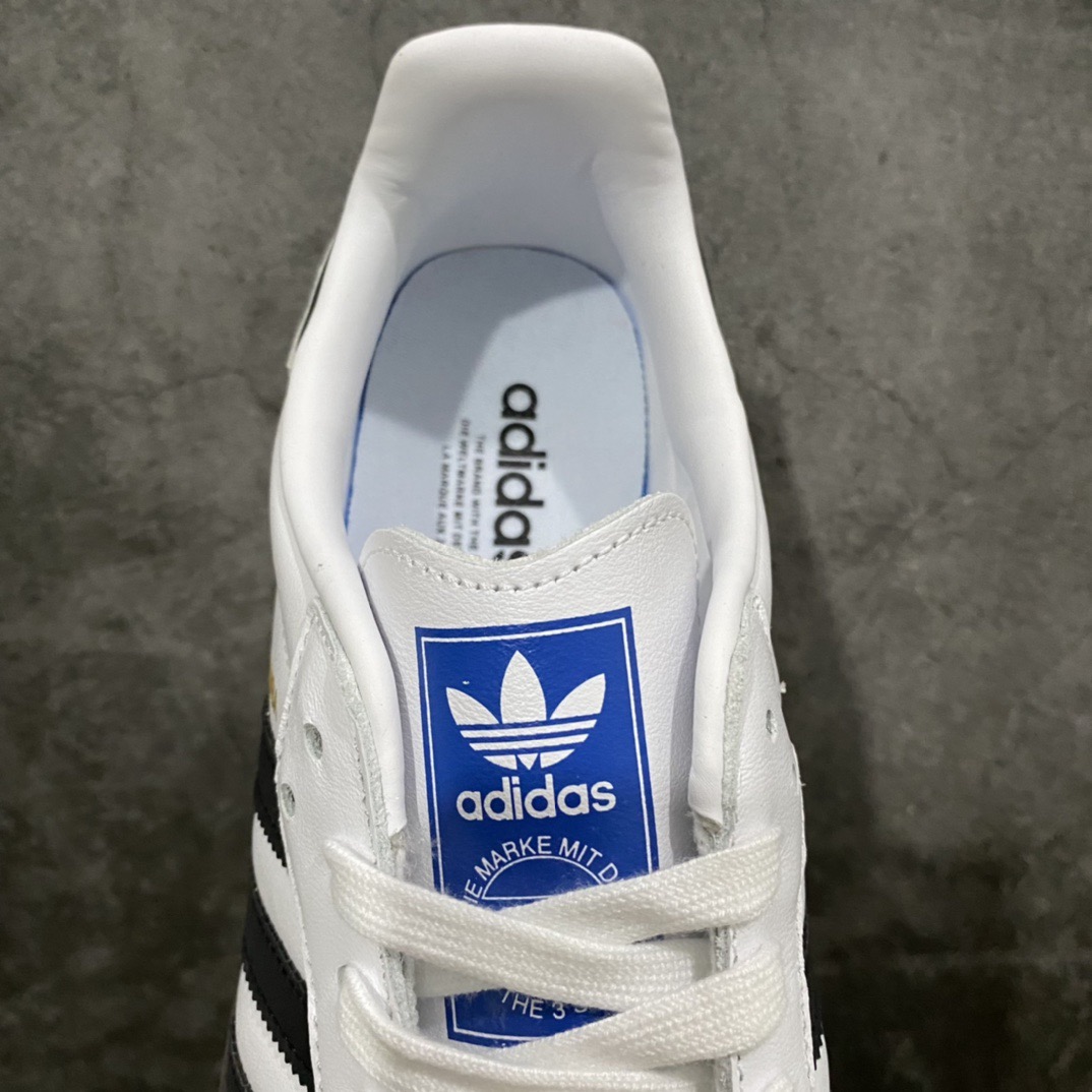 Basic Shoes