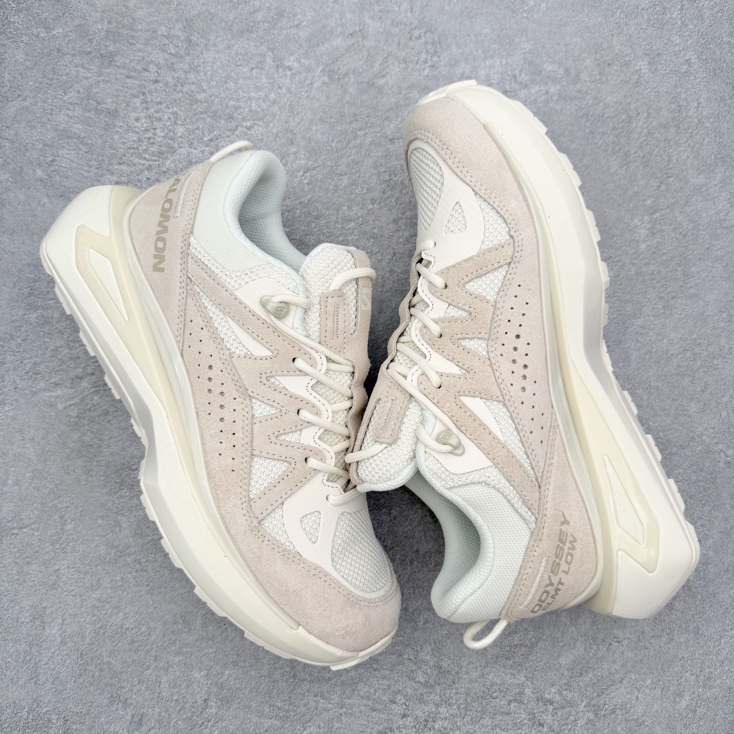 Salomon Male Basic Shoes M-l-s