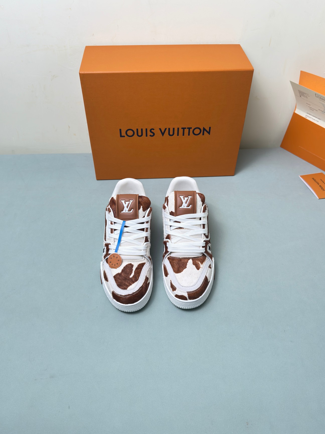 Louis Vuitton Male Basic Shoes M-l