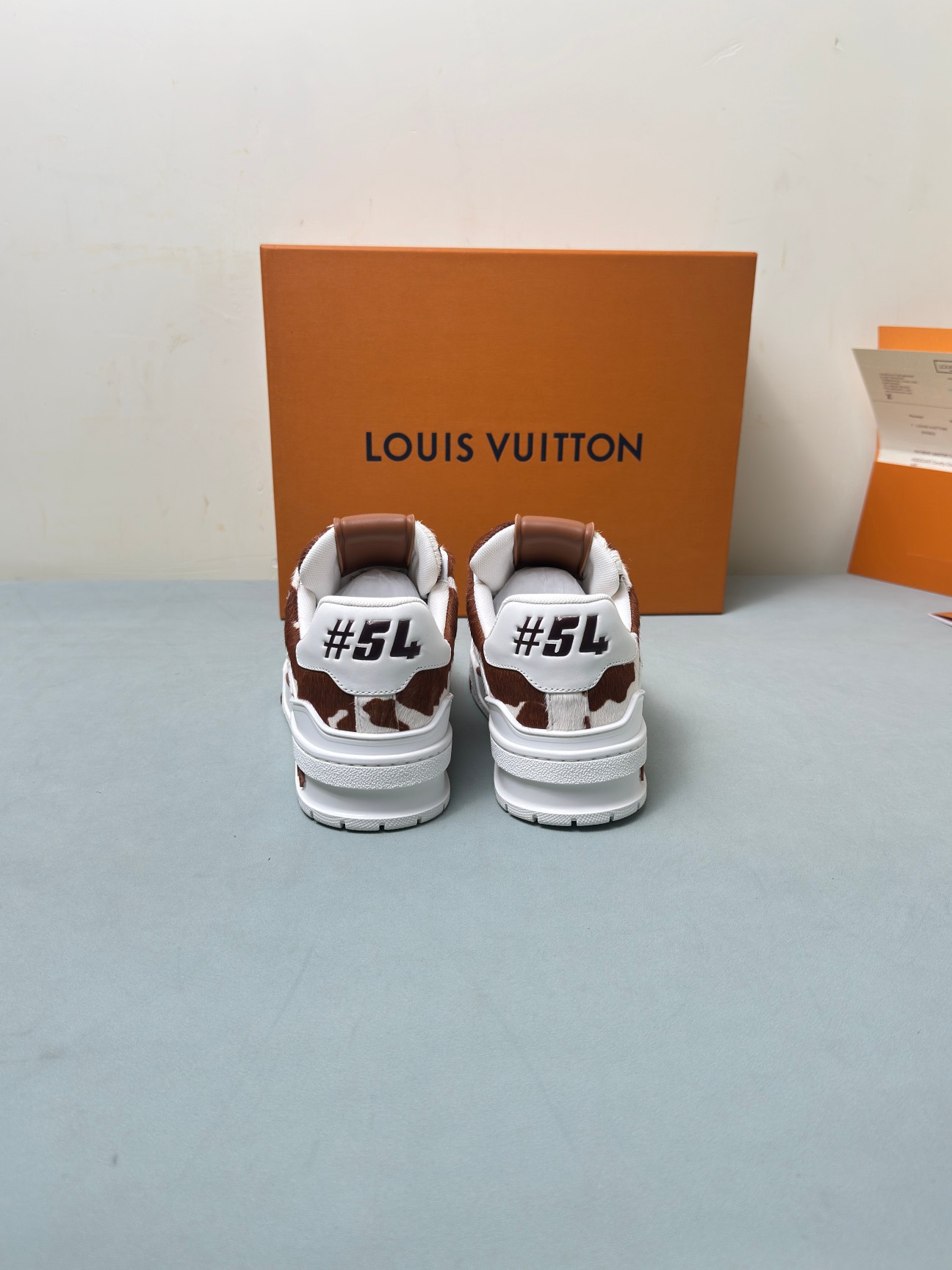 Louis Vuitton Male Basic Shoes M-l