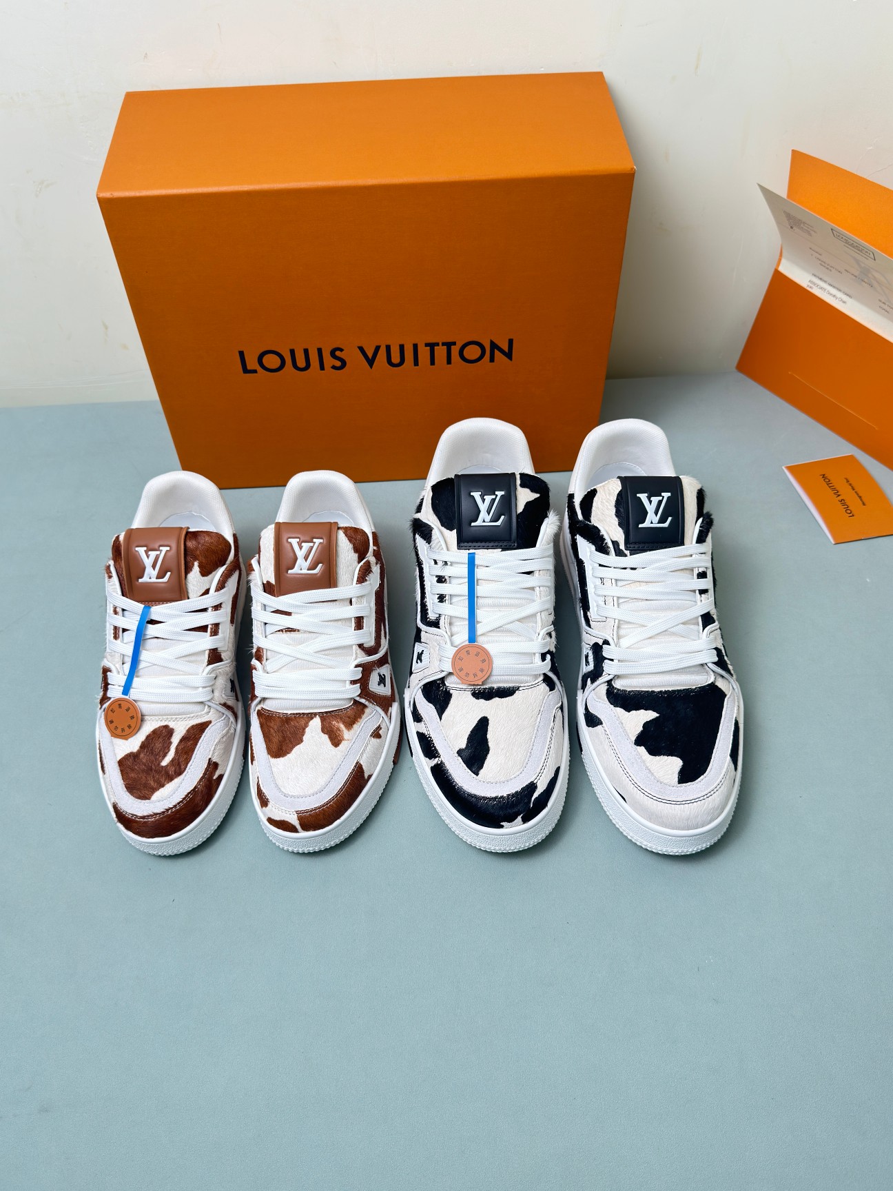 Louis Vuitton Male Basic Shoes M-l