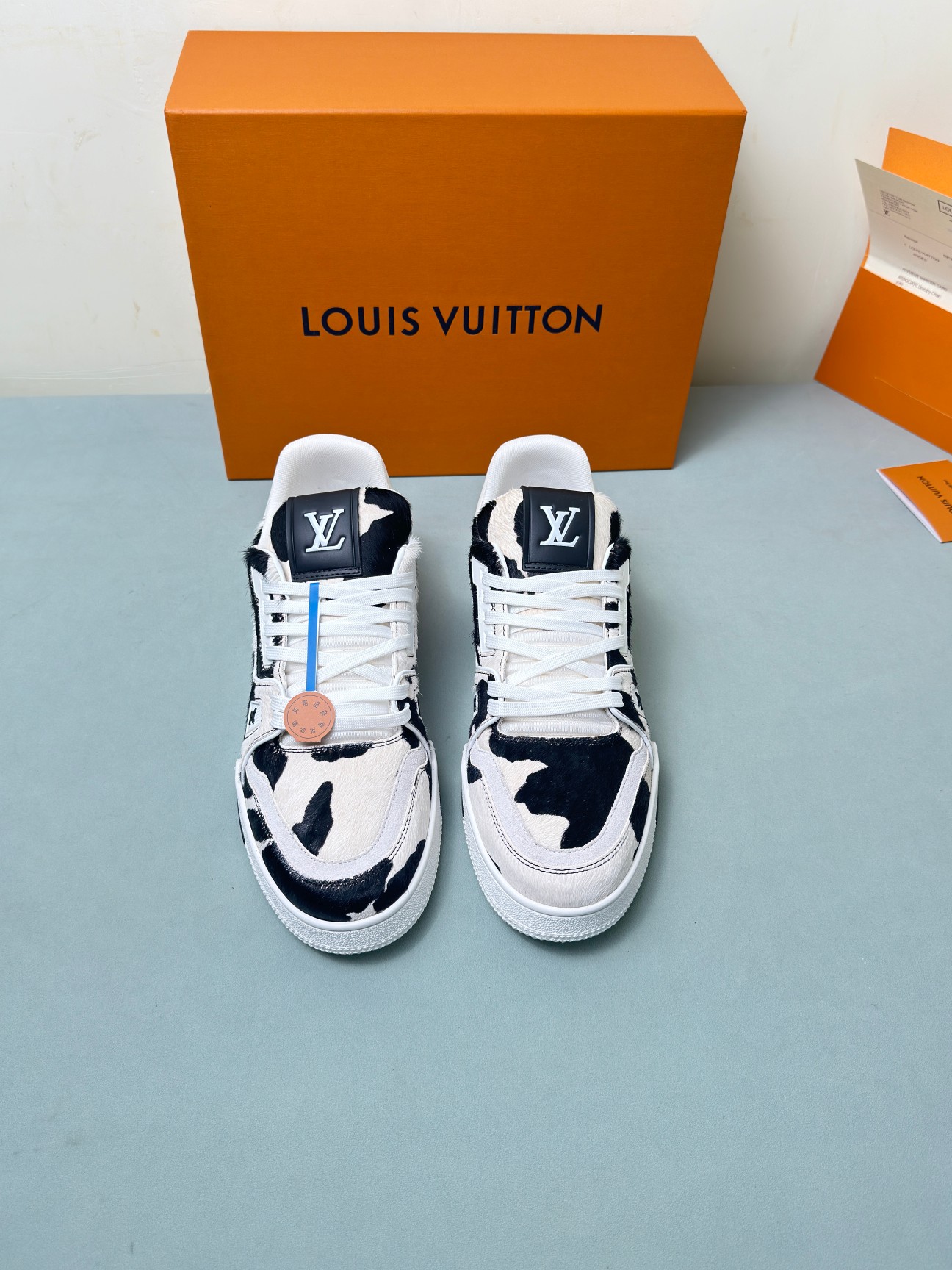 Louis Vuitton Male Basic Shoes M-l