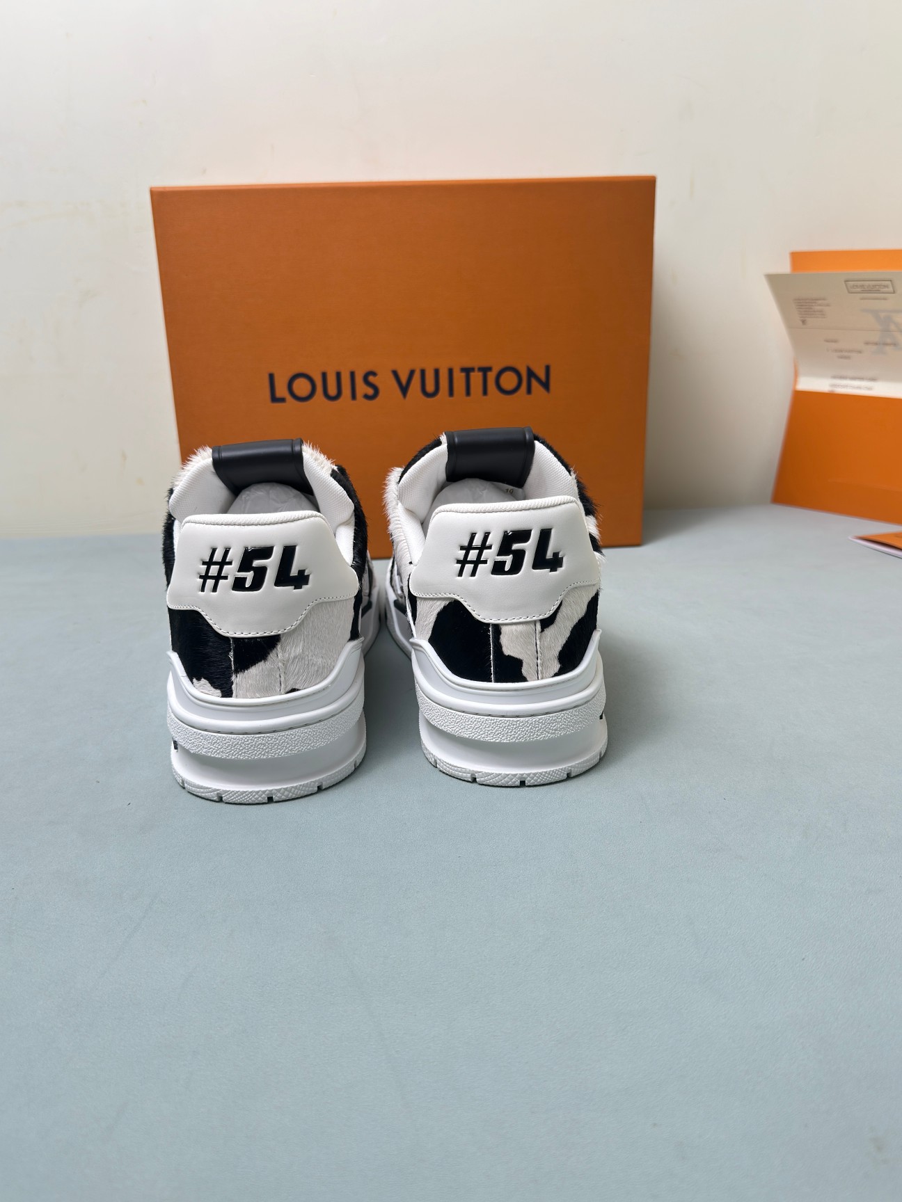 Louis Vuitton Male Basic Shoes M-l