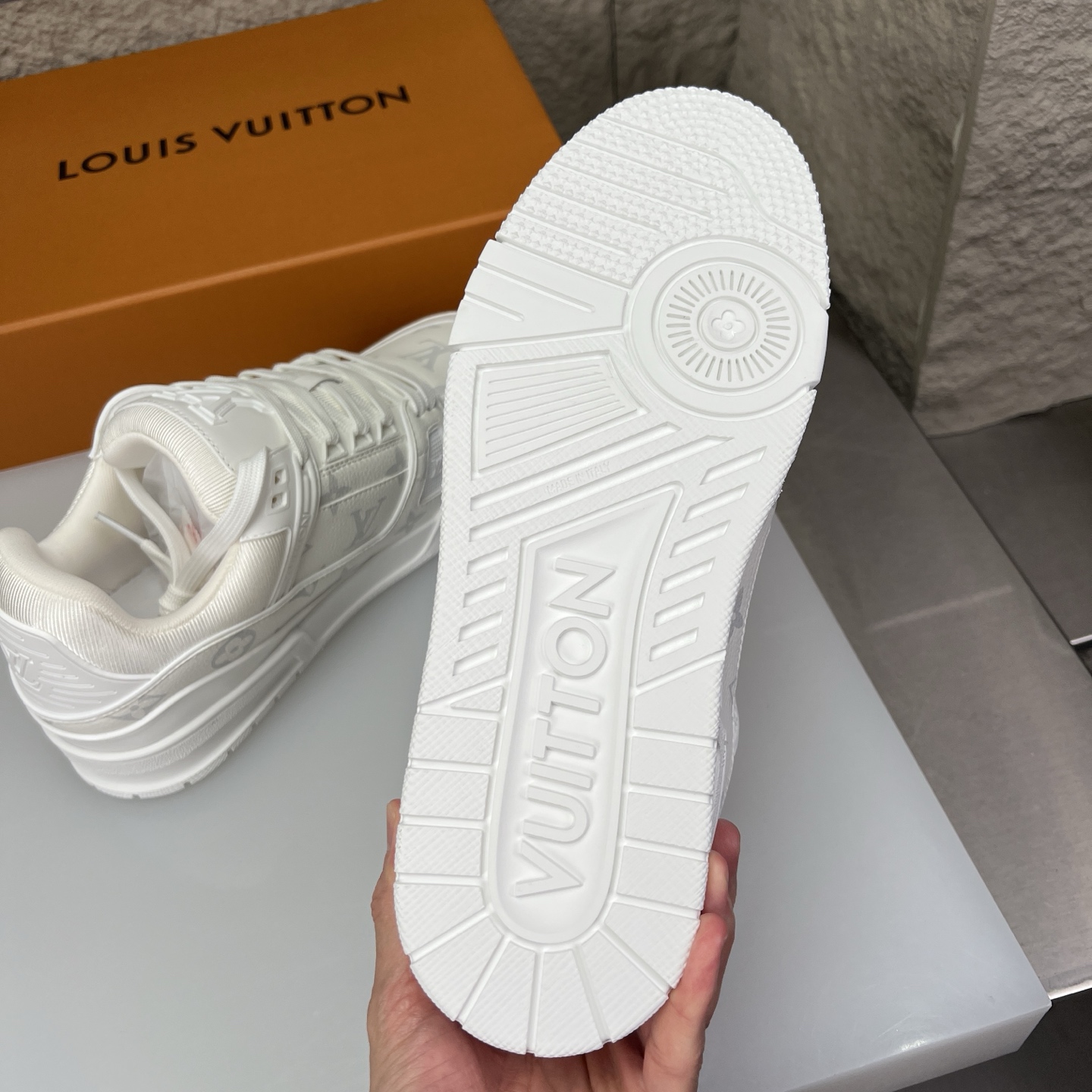 Louis Vuitton Male Board Shoes L