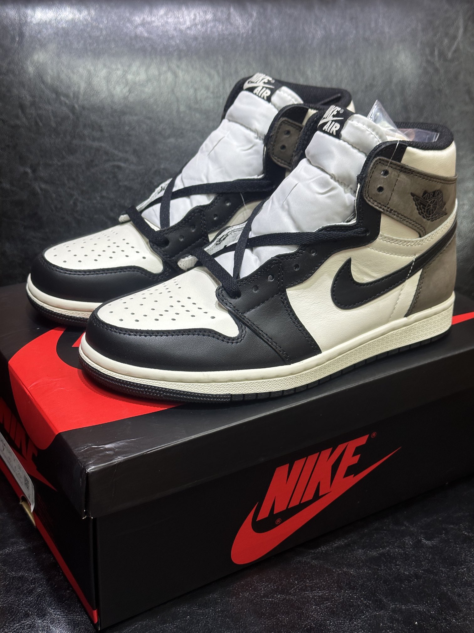 Jordan Nike Basic Shoes Black