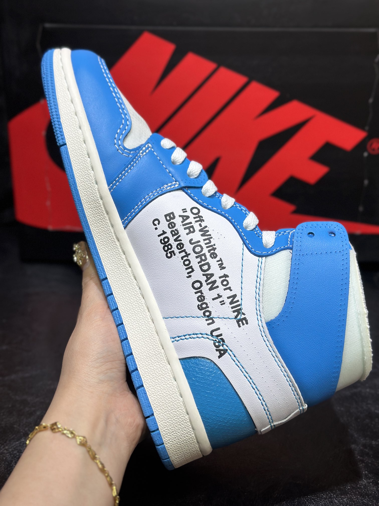 Jordan Nike Basic Shoes