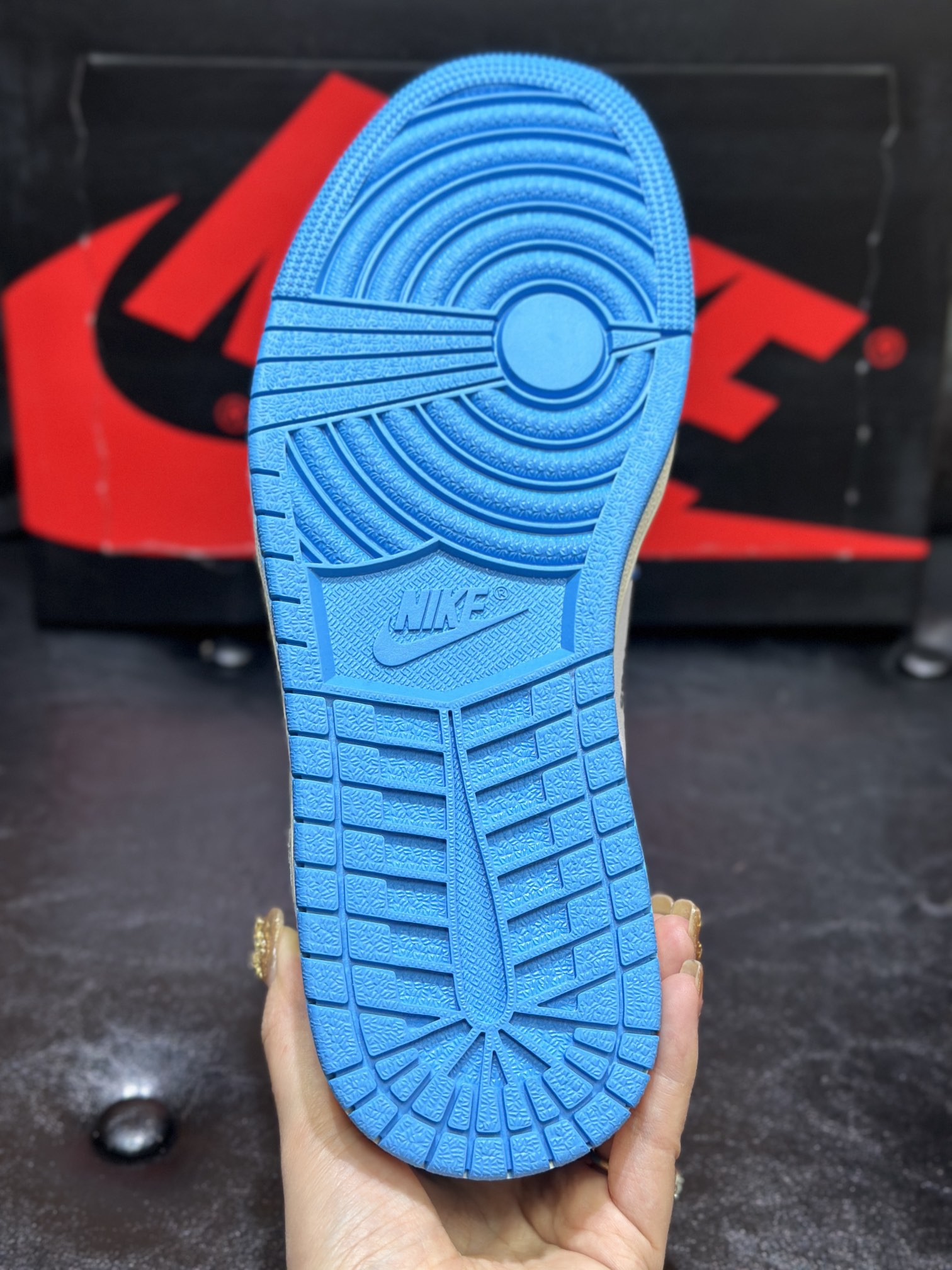 Jordan Nike Basic Shoes