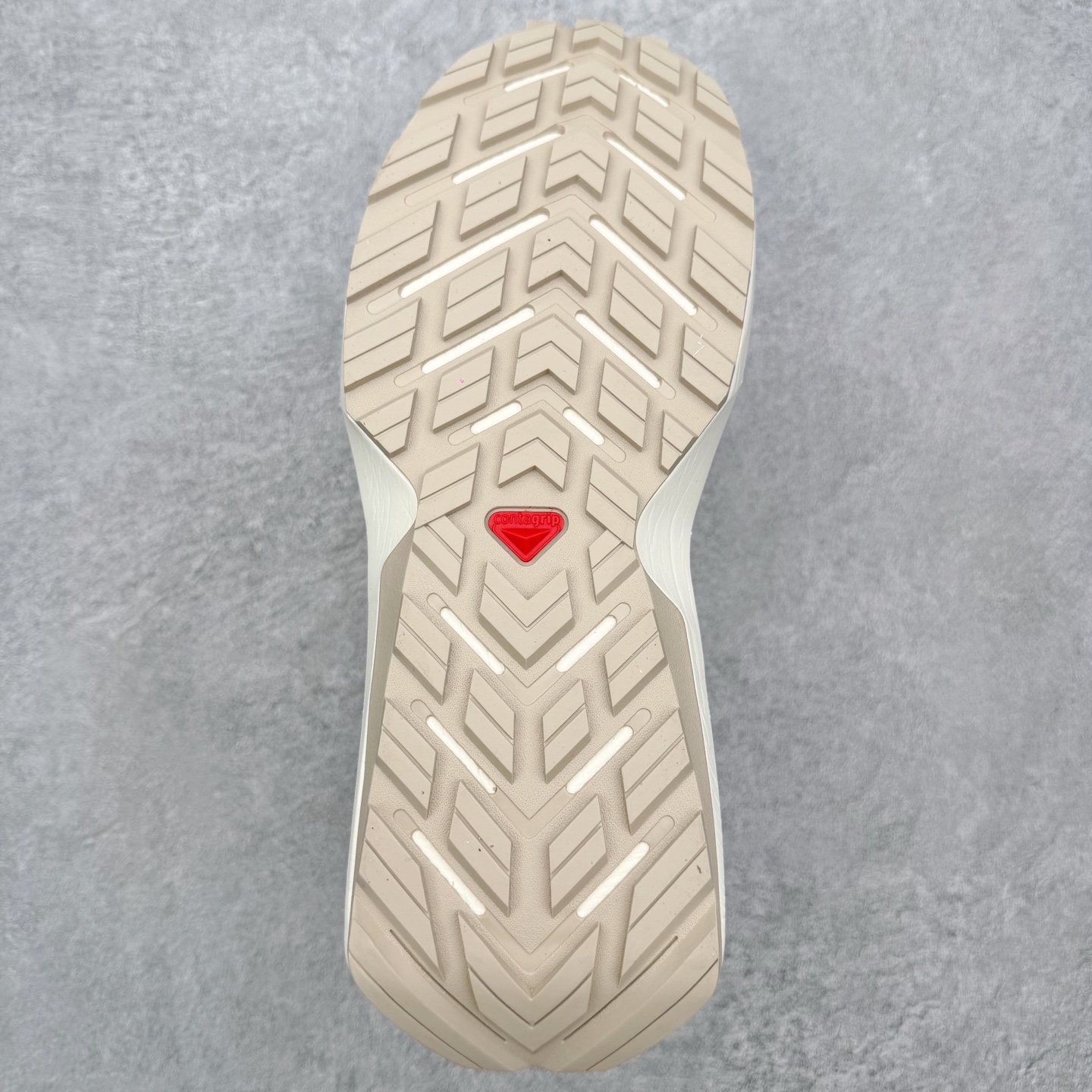 Salomon Male Basic Shoes M-l-s