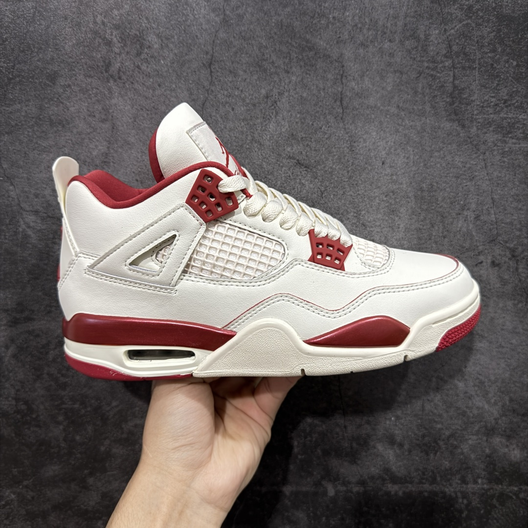 Jordan Nike Basic Shoes