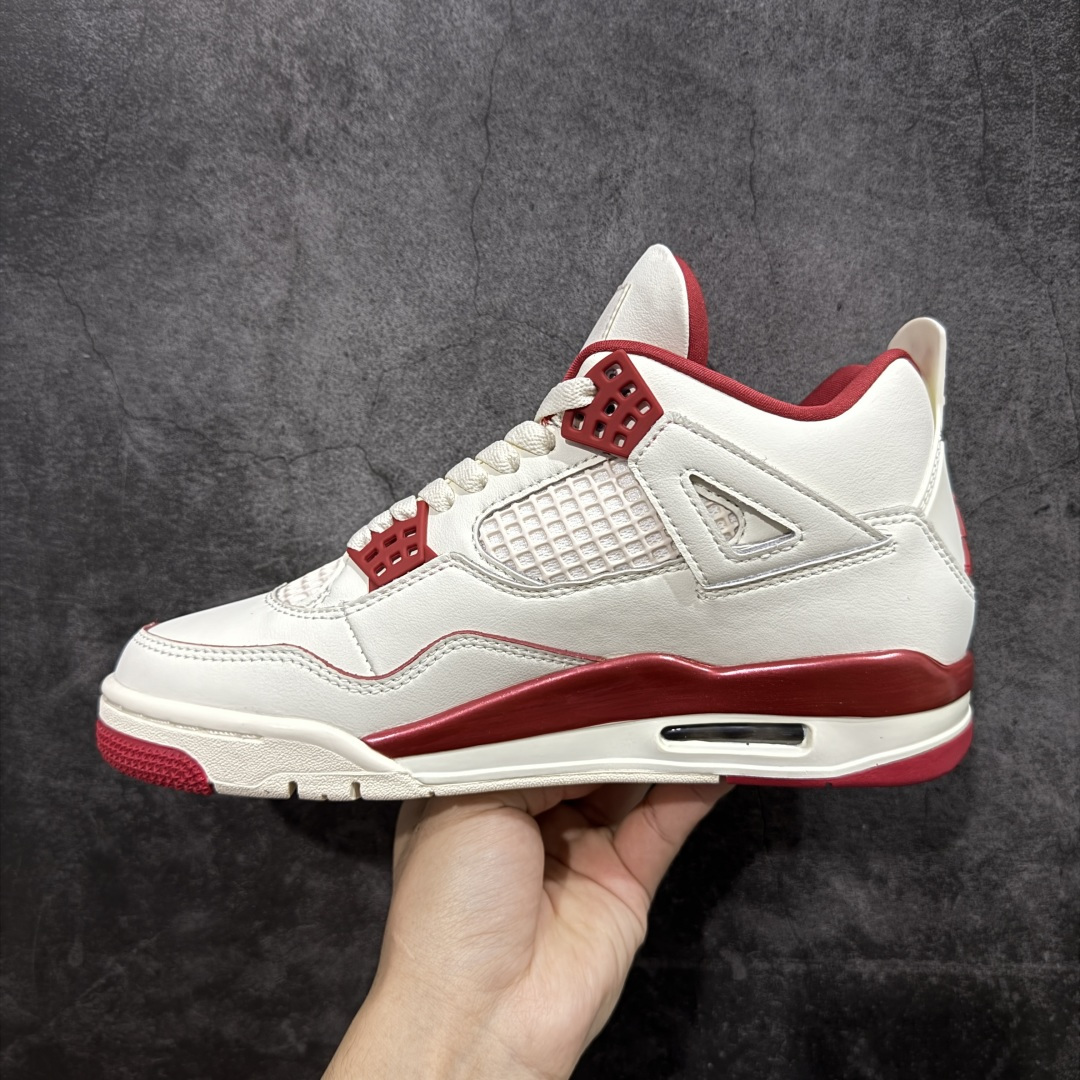 Jordan Nike Basic Shoes