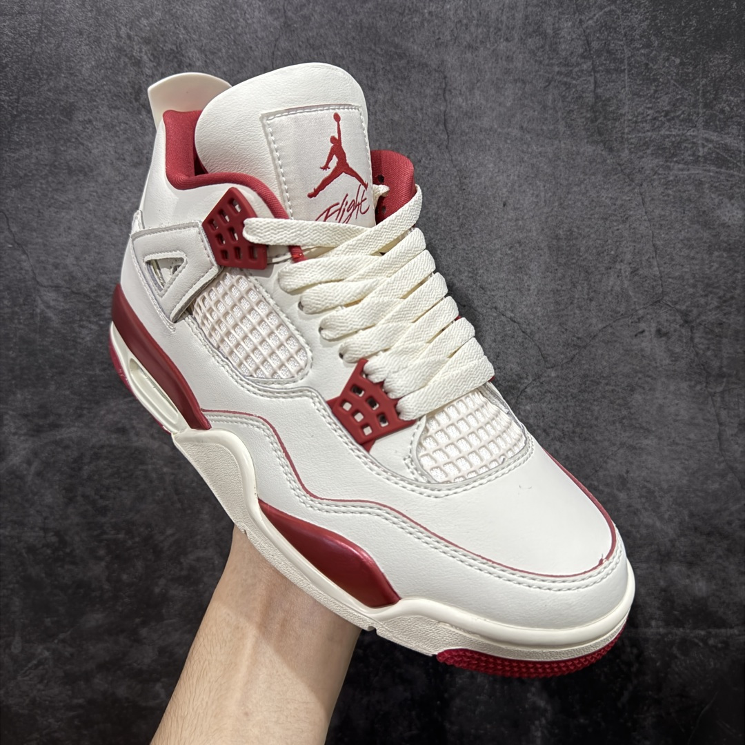 Jordan Nike Basic Shoes