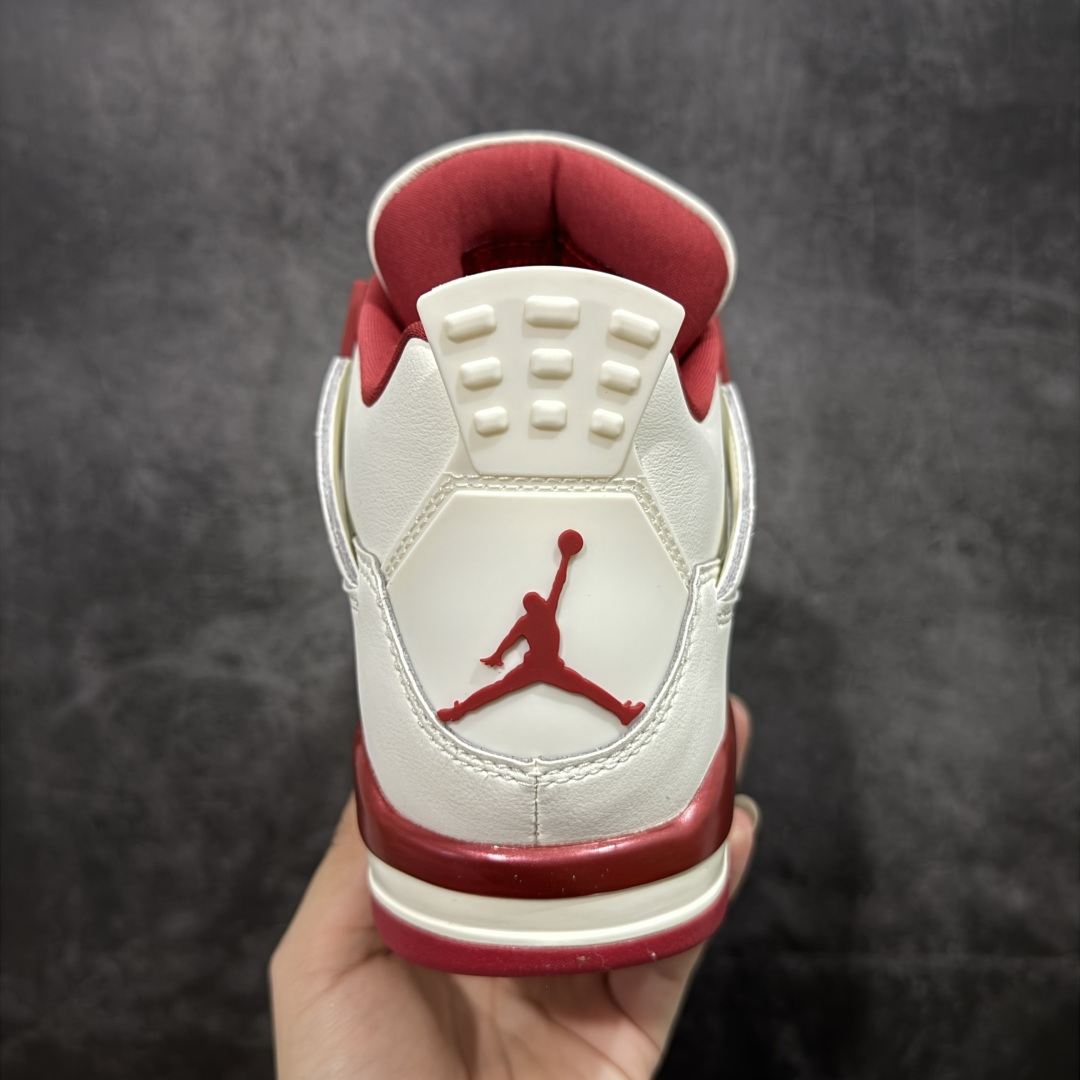Jordan Nike Basic Shoes