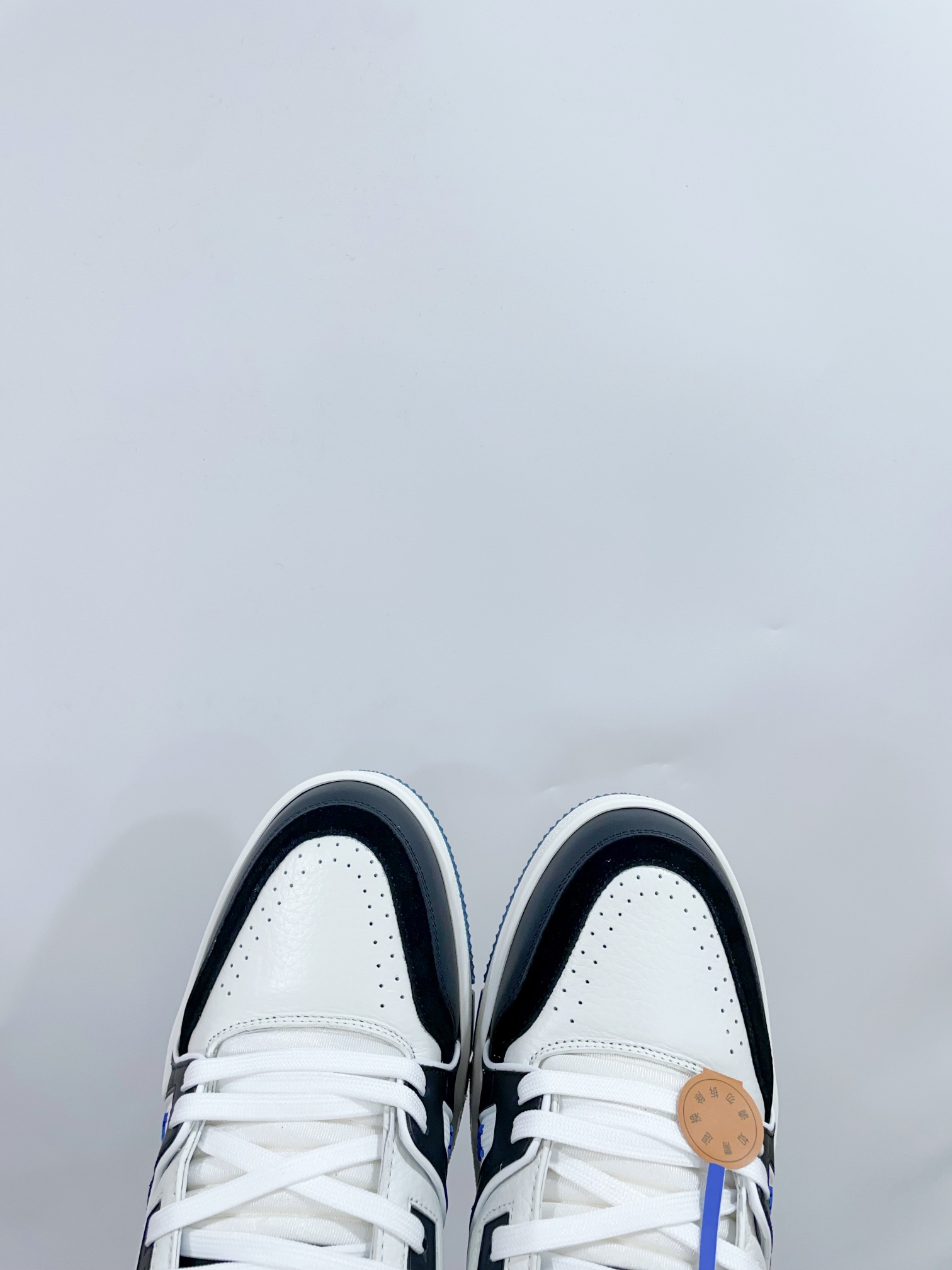 Louis Vuitton Male Sneakers M-l