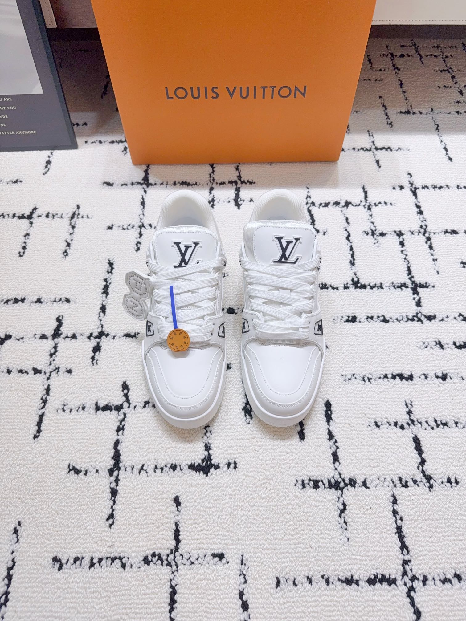 Louis Vuitton Male Sneakers M-l-s