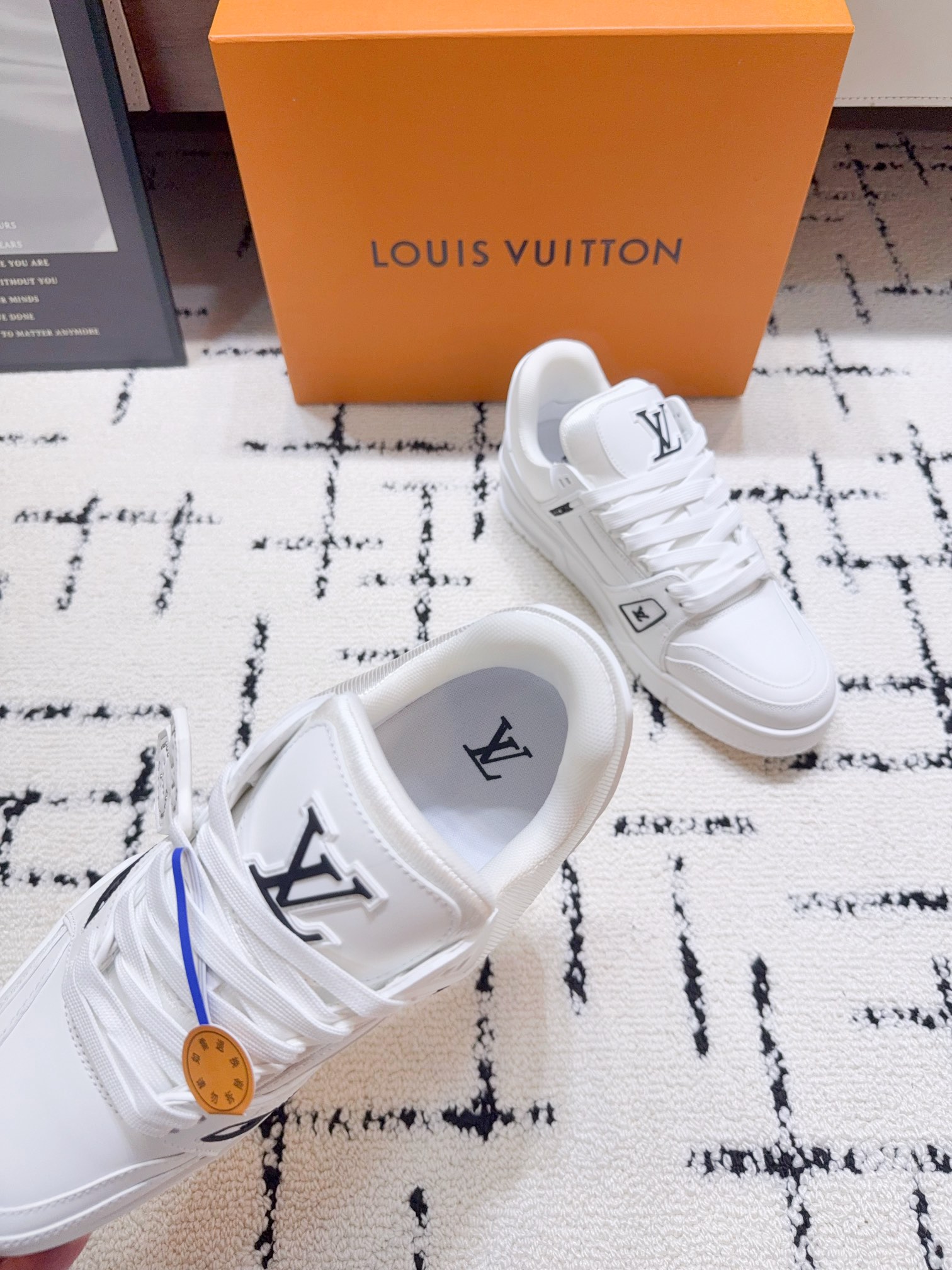 Louis Vuitton Male Sneakers M-l-s