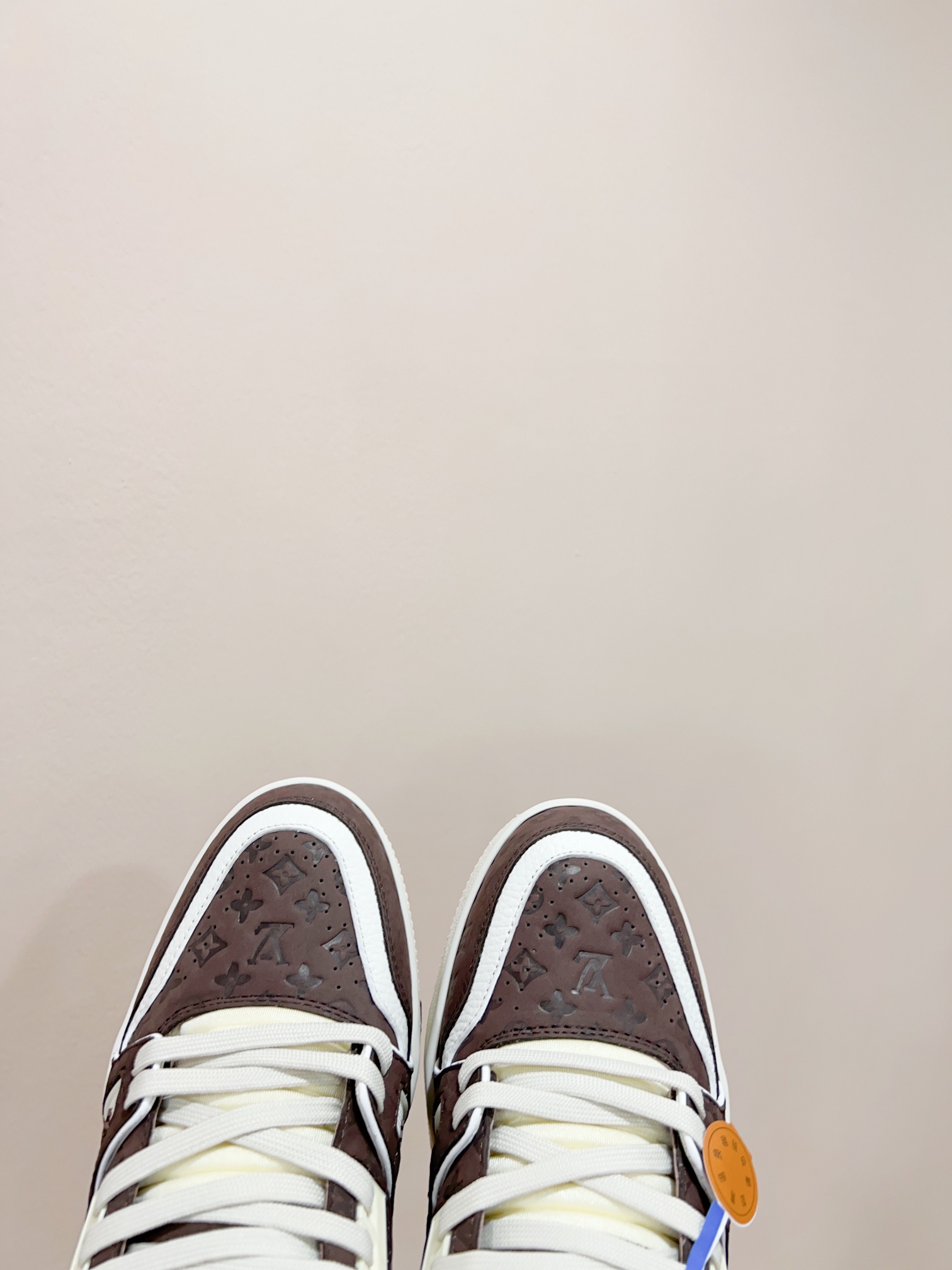 Louis Vuitton Male Sneakers M-l