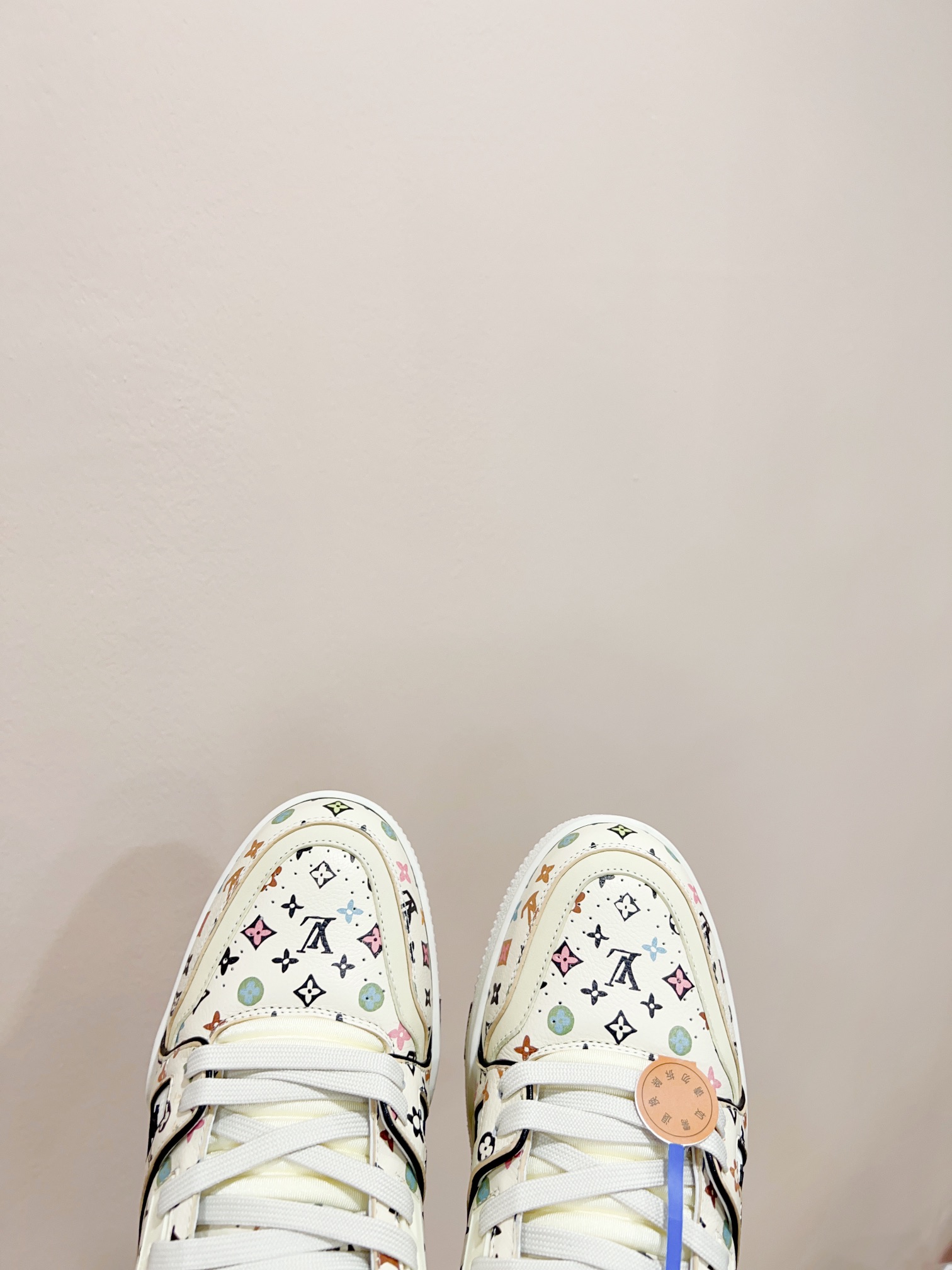 Louis Vuitton Male Sneakers M-l