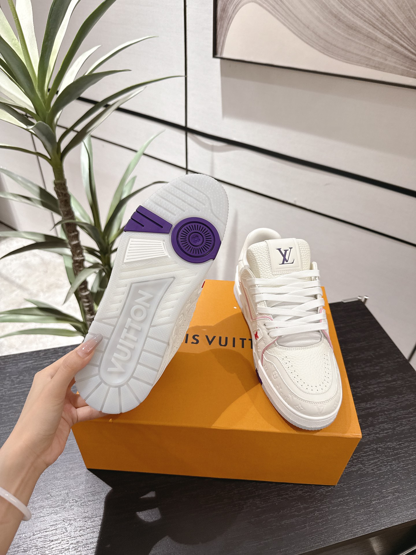 Louis Vuitton Male Board Shoes Breathable M-l-s