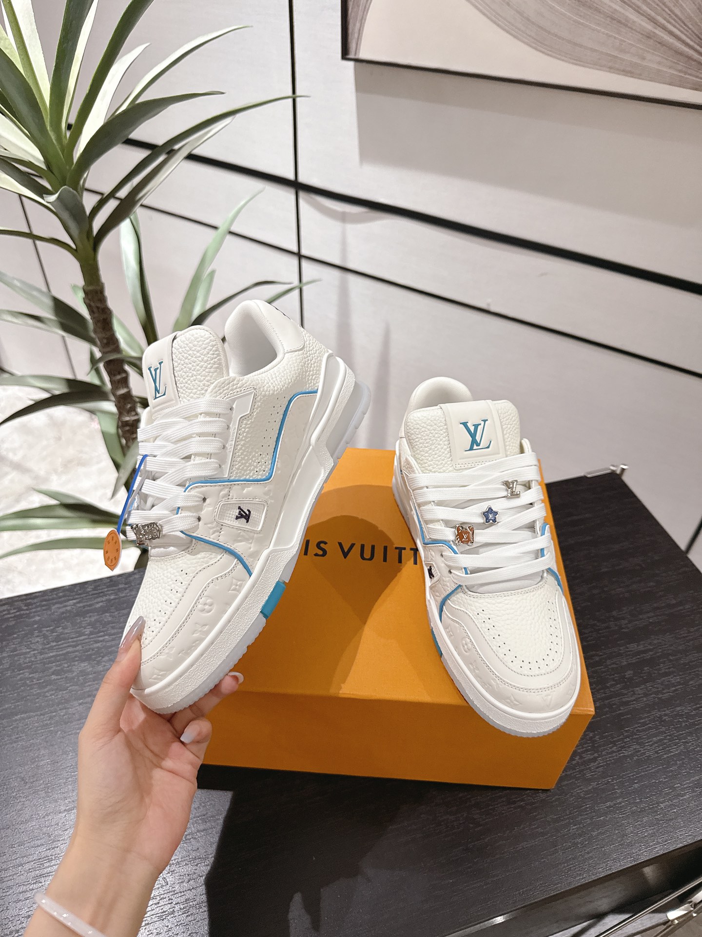 Louis Vuitton Male Board Shoes Breathable M-l-s