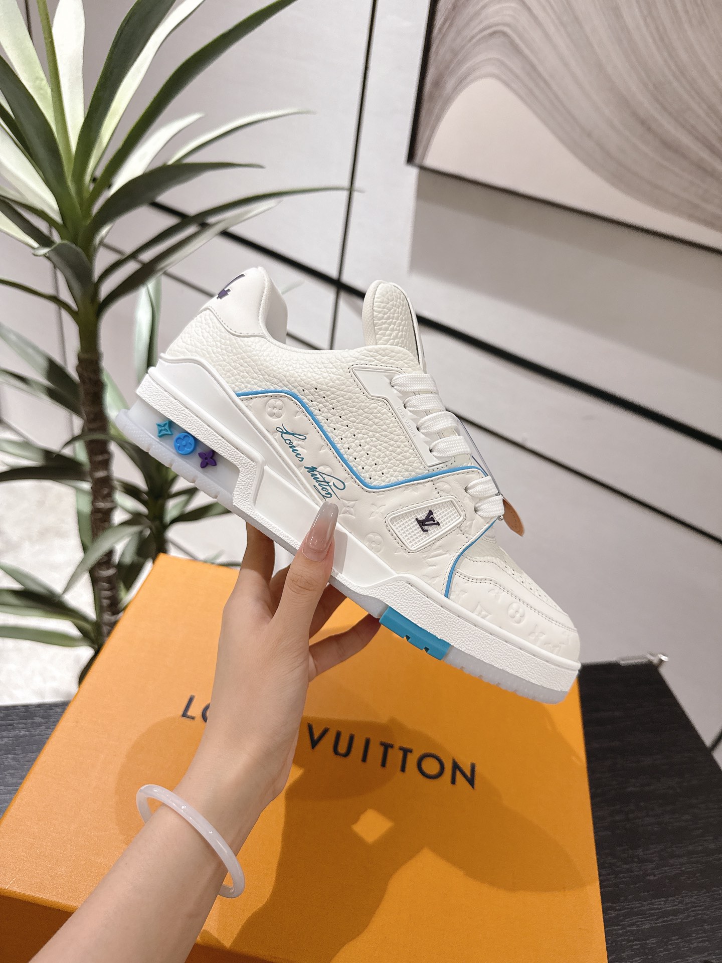 Louis Vuitton Male Board Shoes Breathable M-l-s